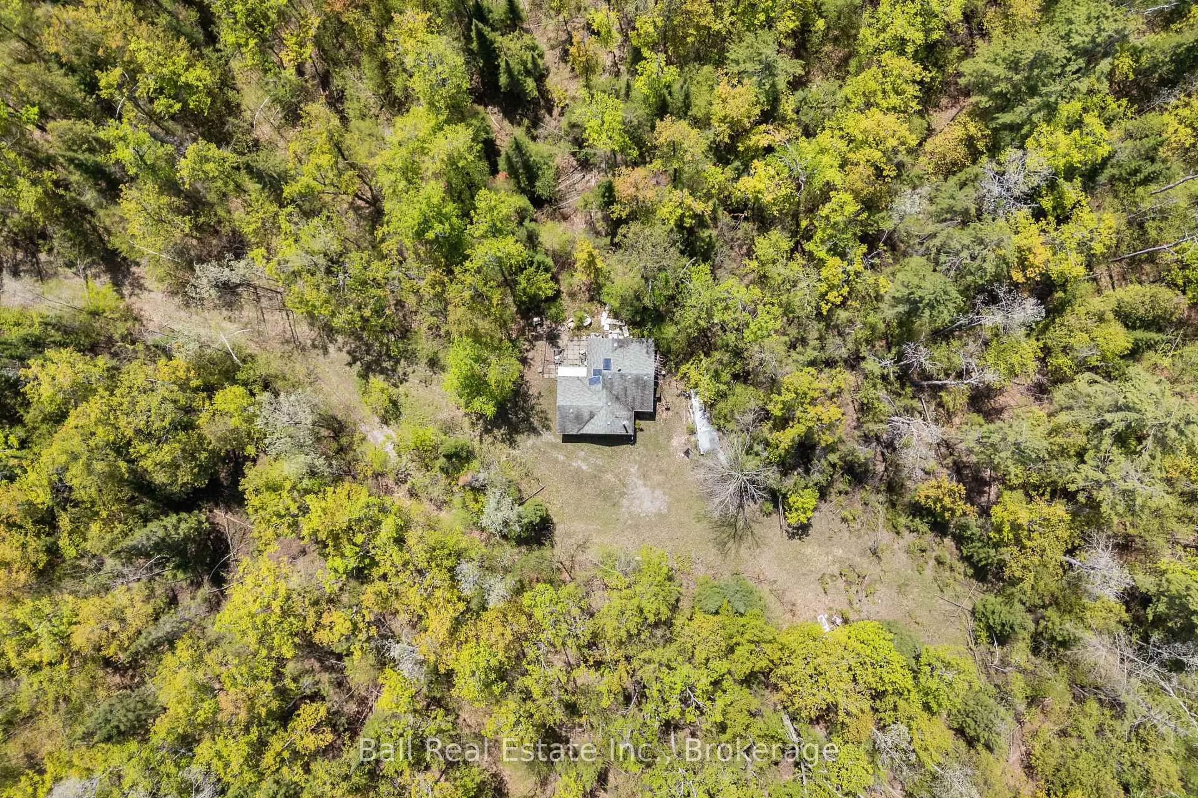 A pic from outside/outdoor area/front of a property/back of a property/a pic from drone, forest/trees view for 174 Moon Line Rd, Trent Lakes Ontario K0M 1A0