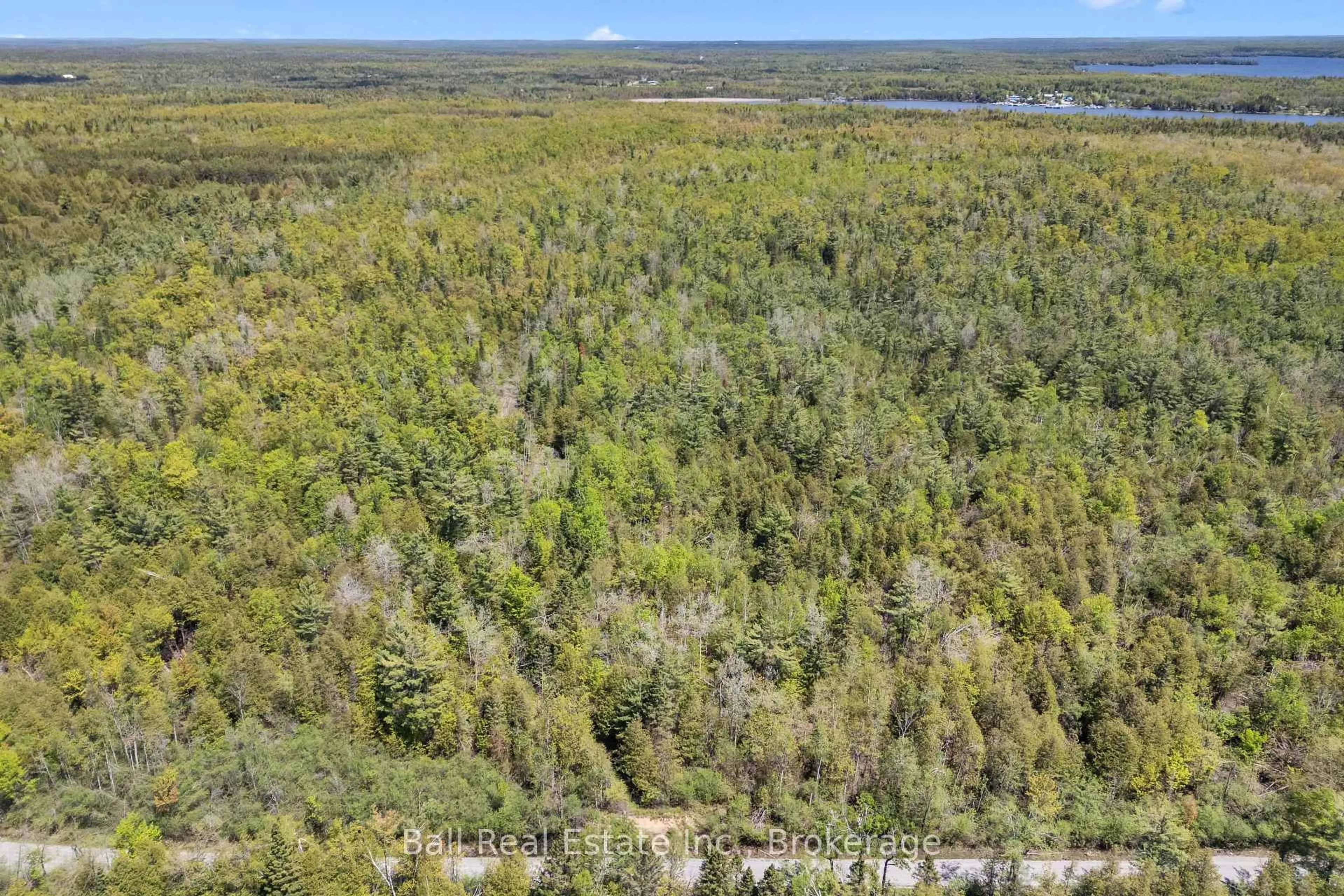 A pic from outside/outdoor area/front of a property/back of a property/a pic from drone, forest/trees view for 174 Moon Line Rd, Trent Lakes Ontario K0M 1A0