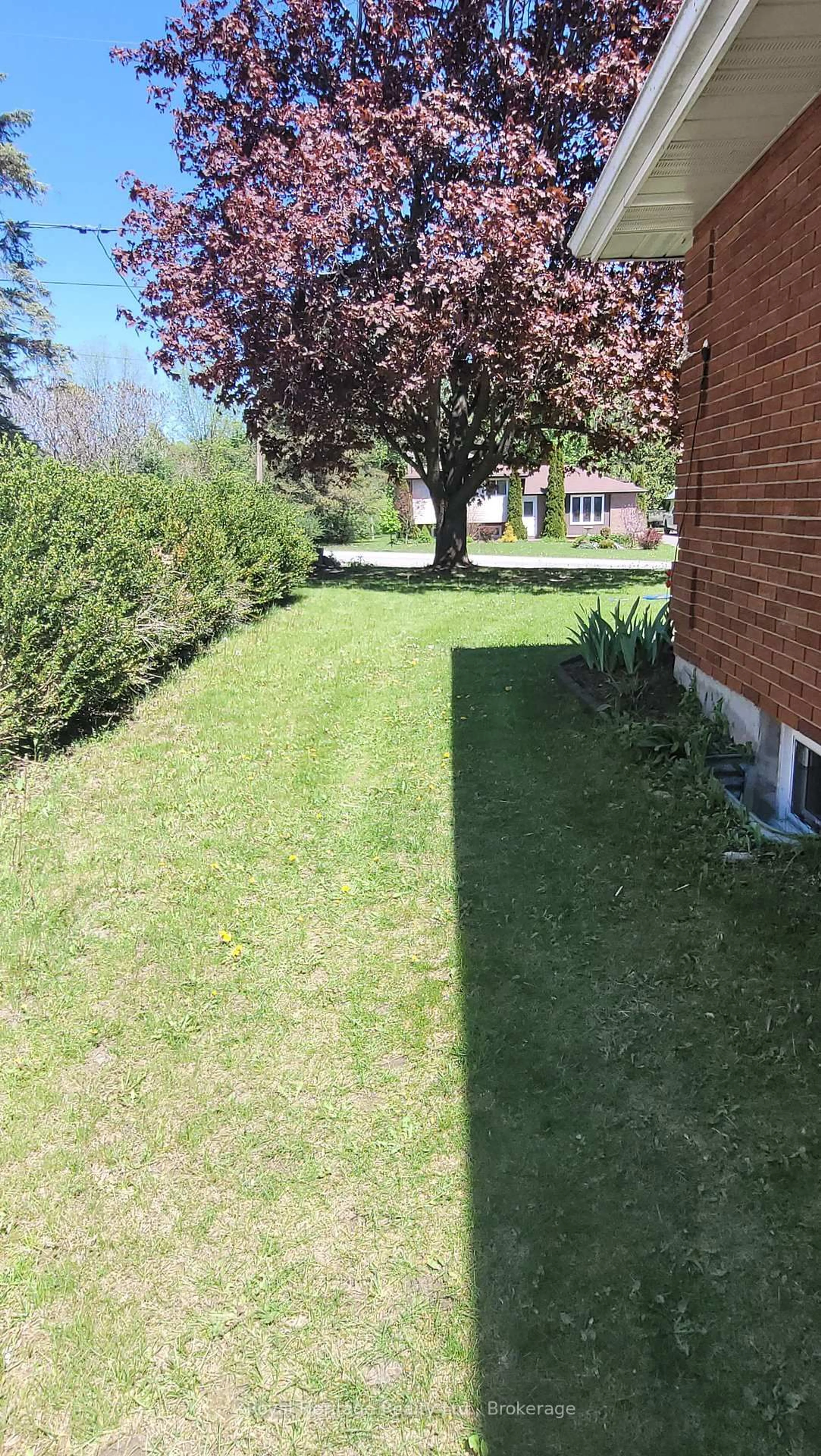 A pic from outside/outdoor area/front of a property/back of a property/a pic from drone, street for 115 Chatterton Valley Cres, Quinte West Ontario K0K 2B0