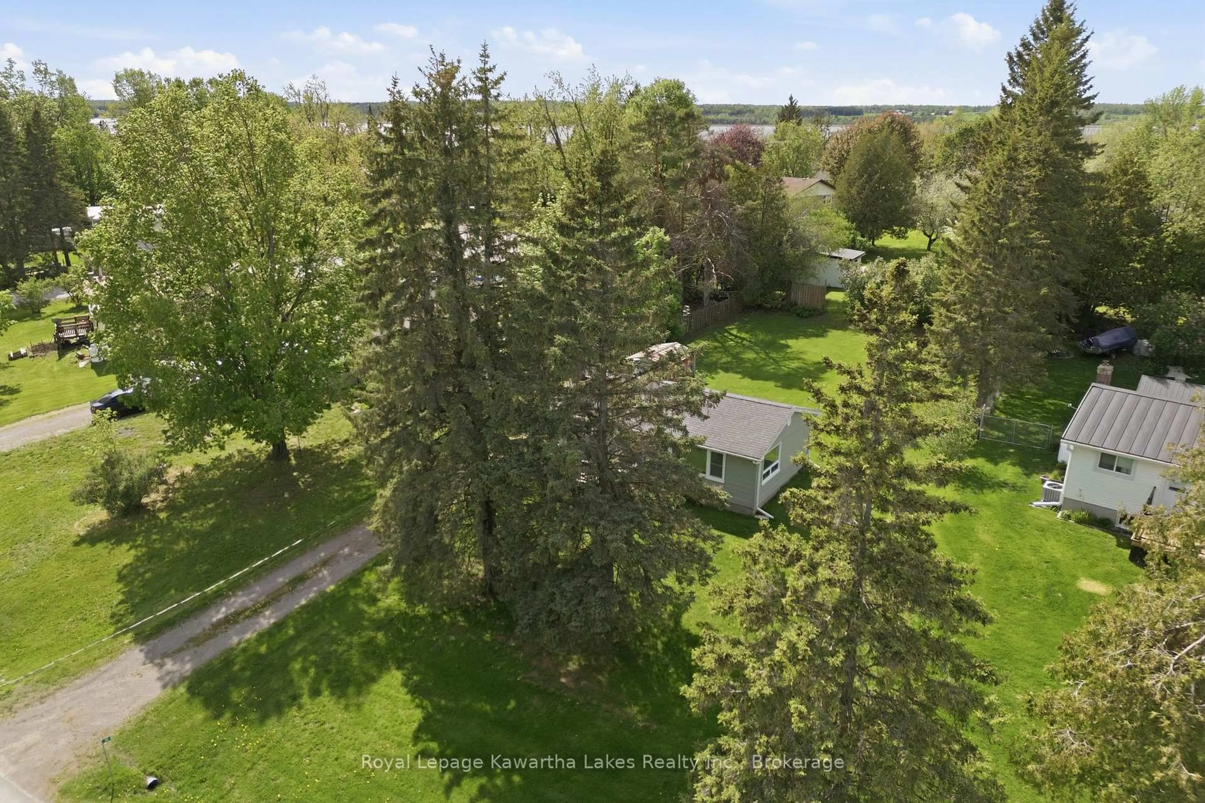 A pic from outside/outdoor area/front of a property/back of a property/a pic from drone, forest/trees view for 16 Marilyn Cres, Kawartha Lakes Ontario K0L 1T0
