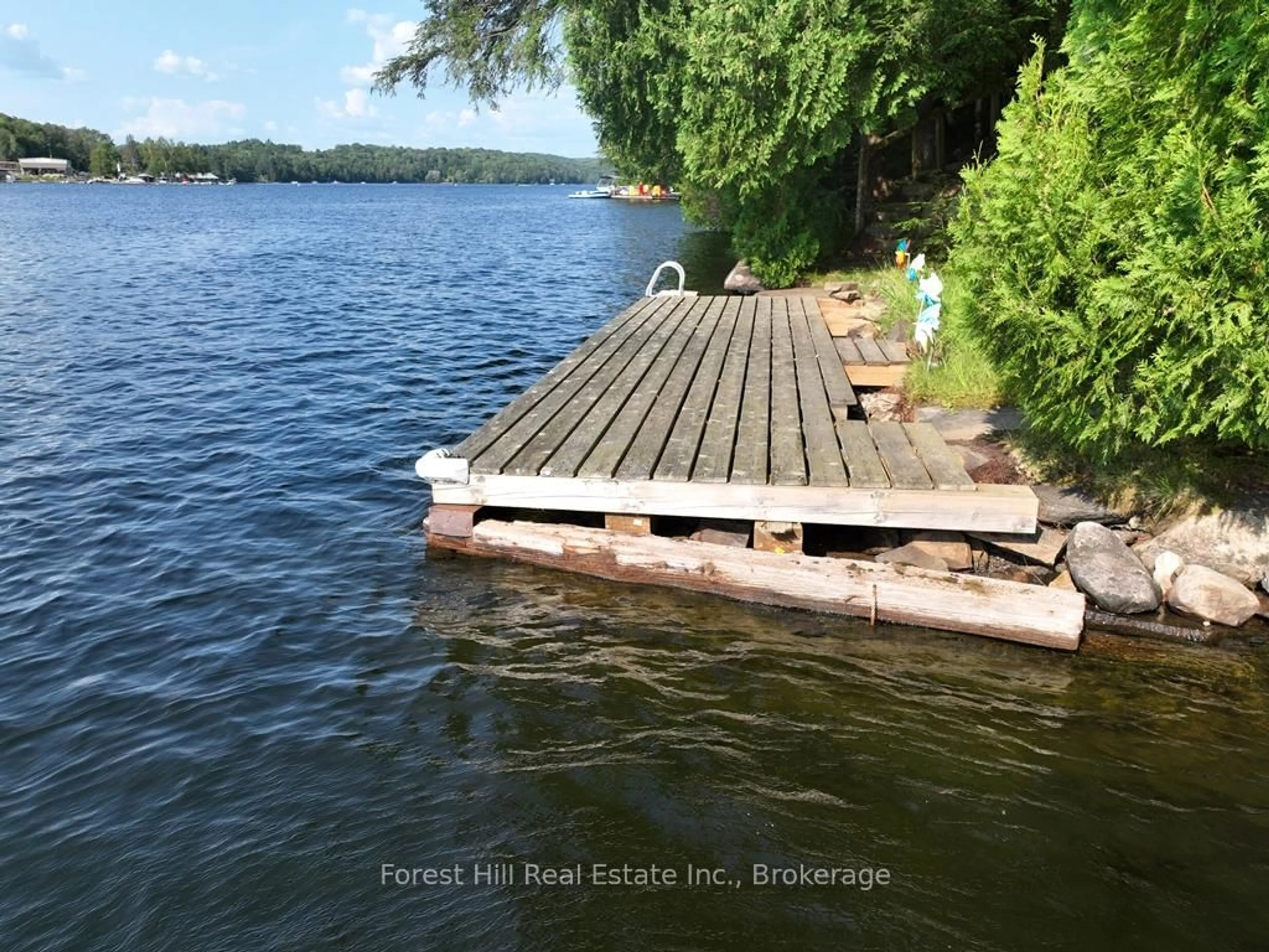 A pic from outside/outdoor area/front of a property/back of a property/a pic from drone, water/lake/river/ocean view for 30945 KAWAGAMA Lake WAO, Algonquin Highlands Ontario P0A 1E0