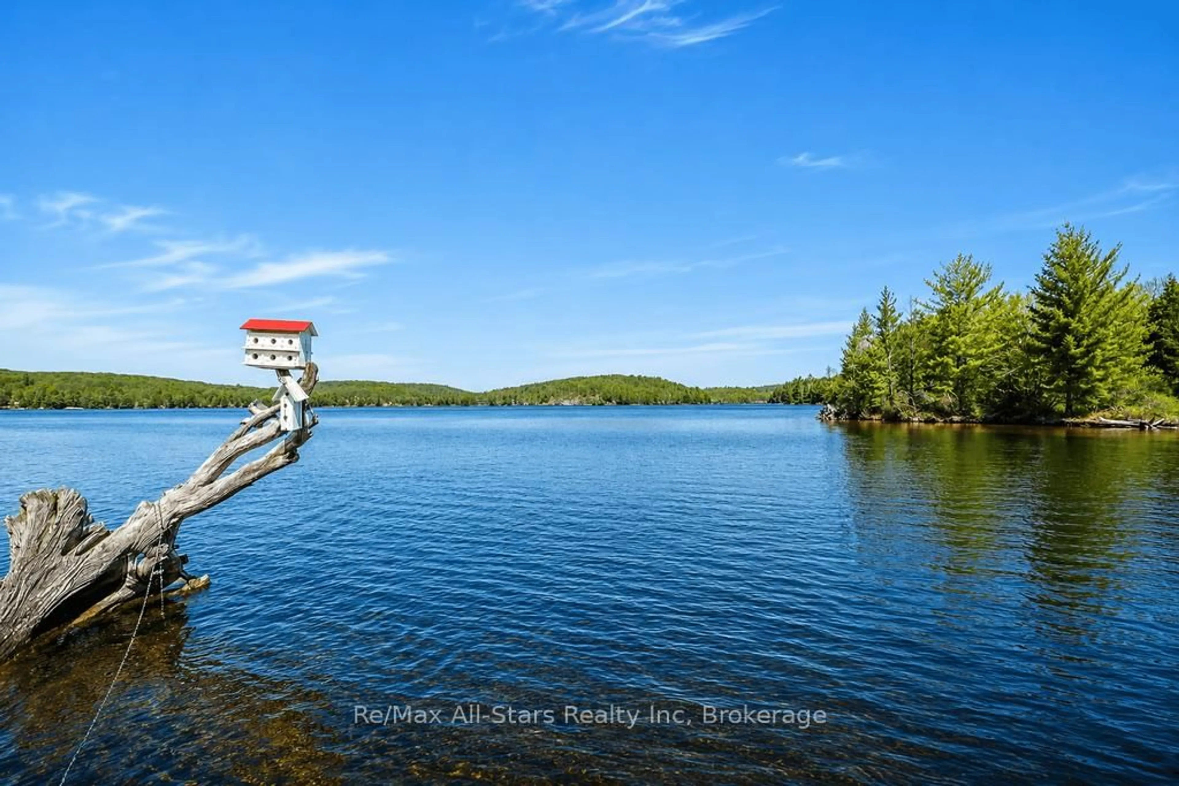 Unknown for 13603 Raven Lake - East Shore, Algonquin Highlands Ontario P0A 1E0