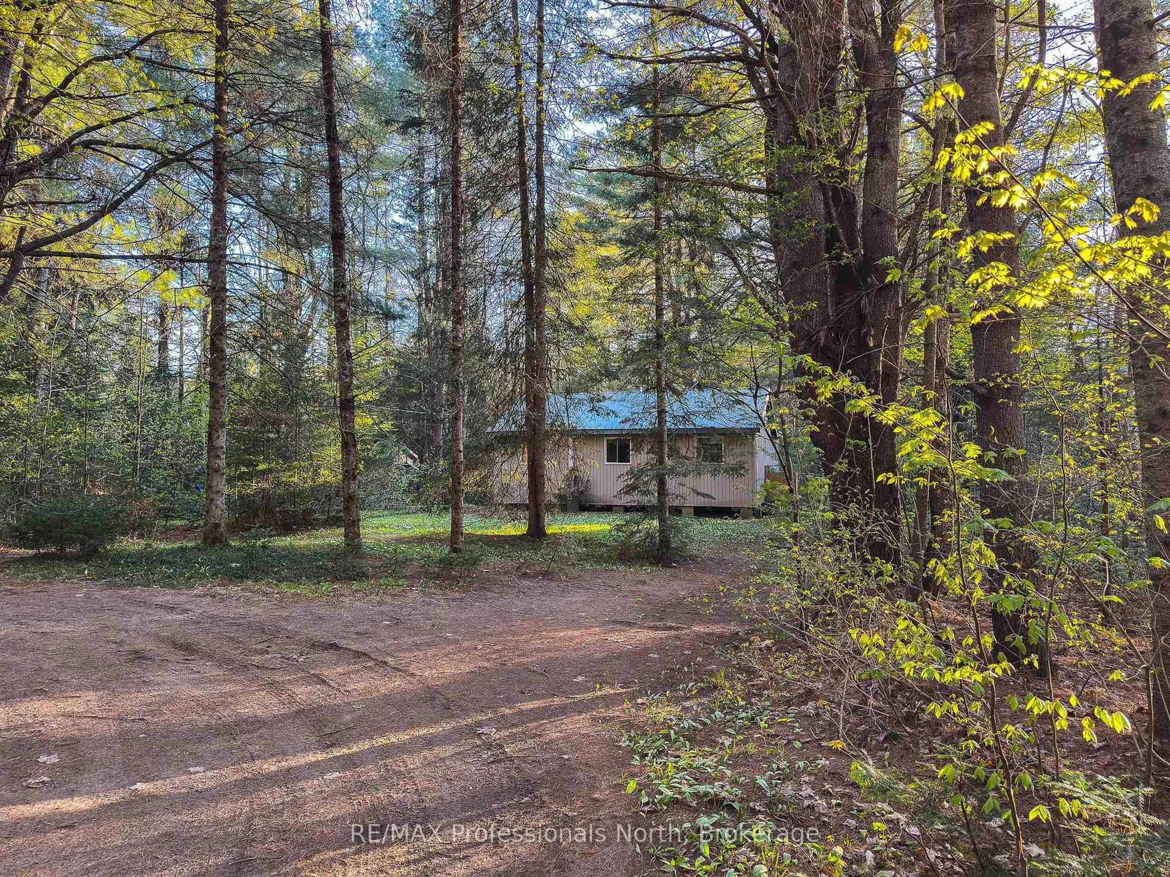 A pic from outside/outdoor area/front of a property/back of a property/a pic from drone, forest/trees view for 1063 Forrester Tr, Bracebridge Ontario P1L 1W9