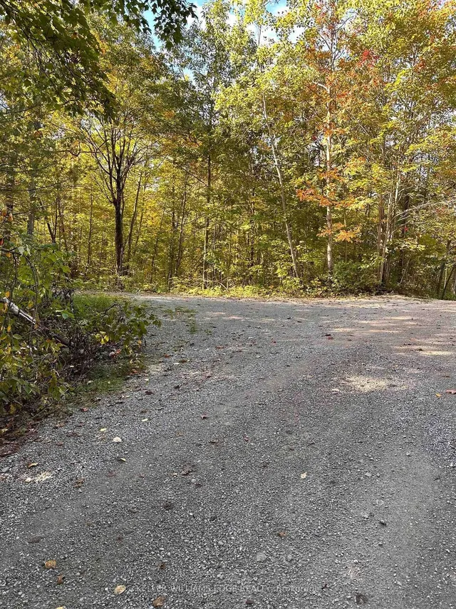 216 Smooth Rock Rd, Georgian Bay 5