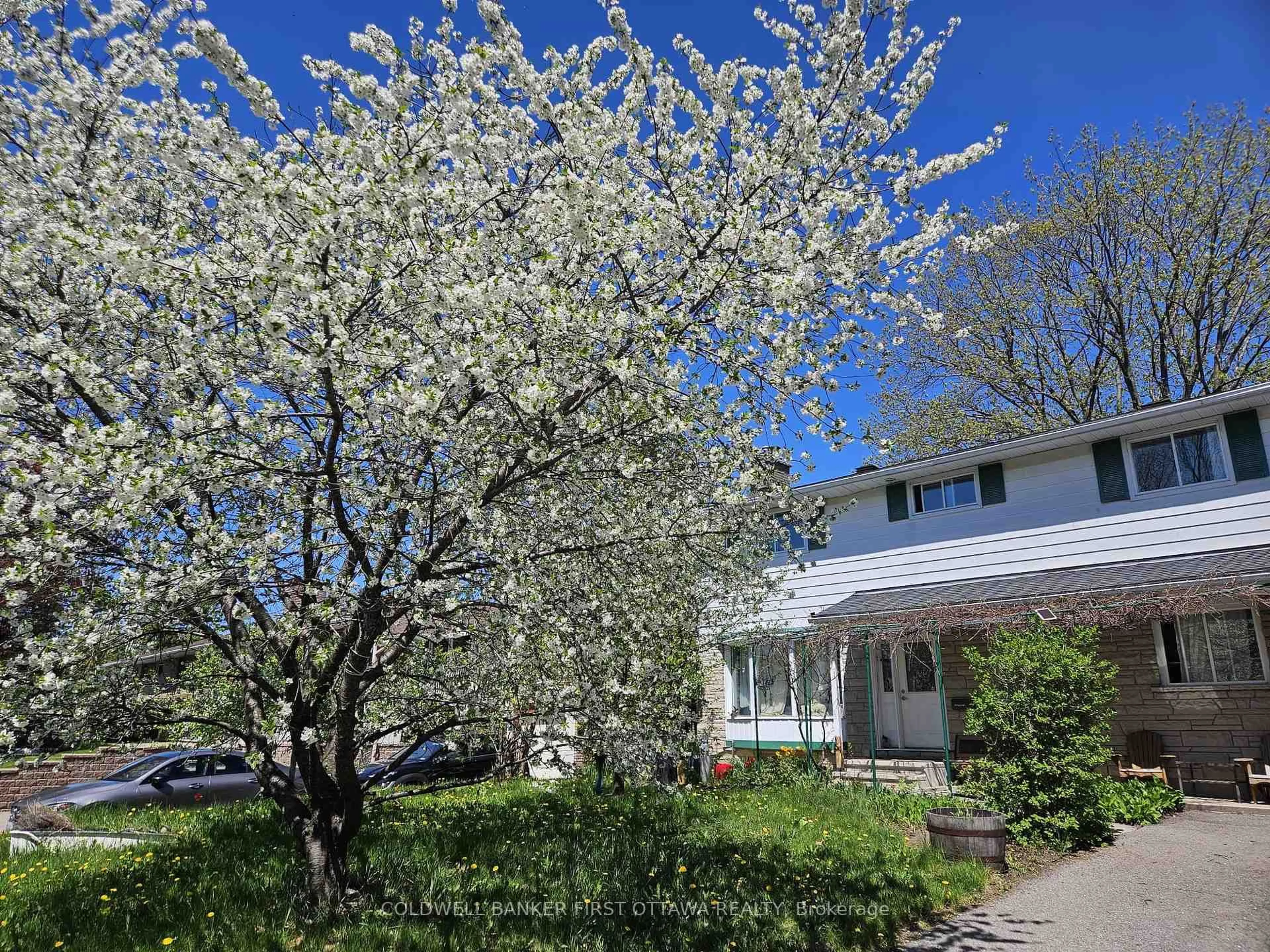 A pic from outside/outdoor area/front of a property/back of a property/a pic from drone, street for 2061 Balharrie Ave, Ottawa Ontario K1G 1G2