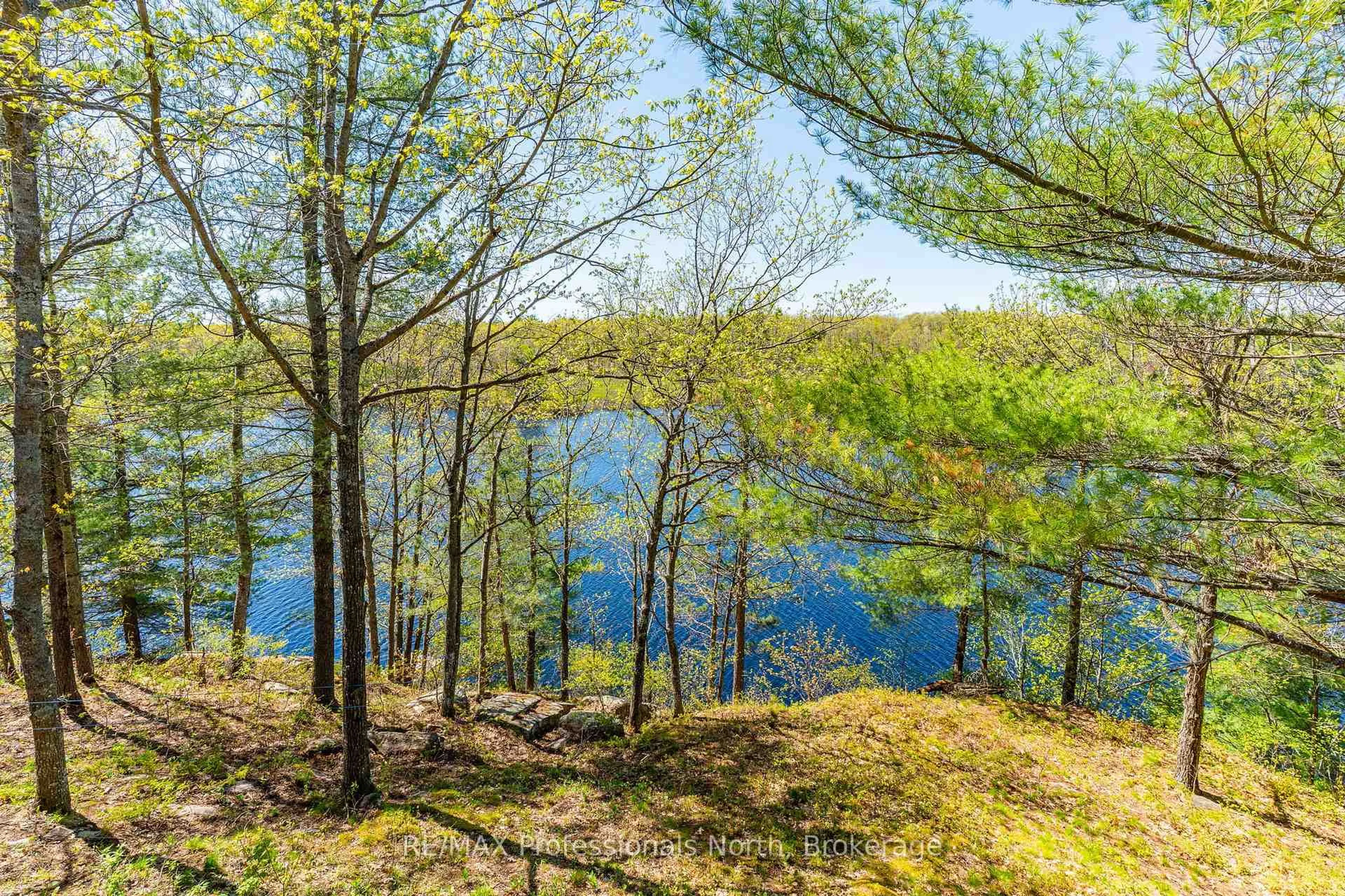 A pic from outside/outdoor area/front of a property/back of a property/a pic from drone, forest/trees view for 1011 Palomino Tr, Minden Hills Ontario K0M 2K0