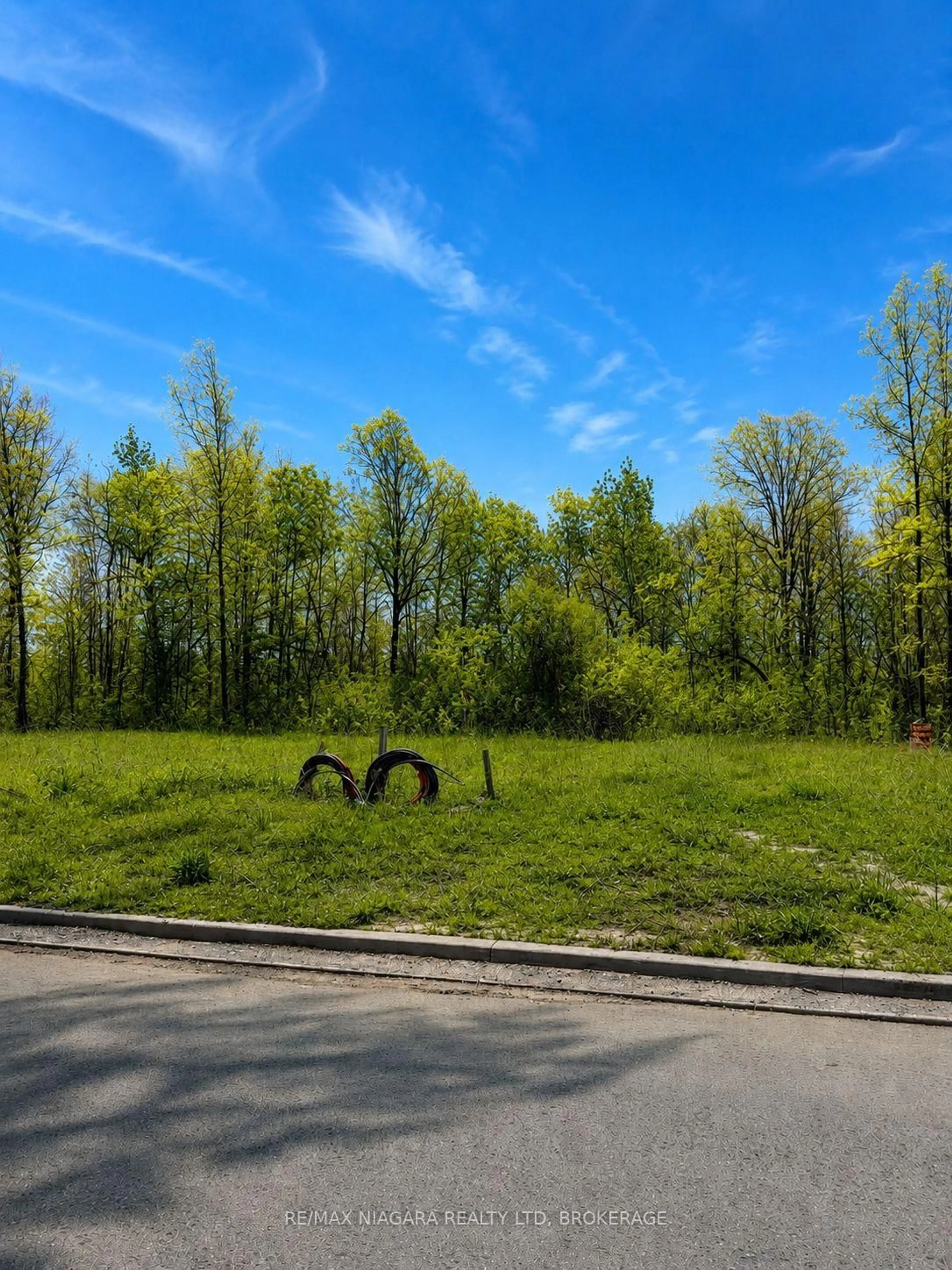 A pic from outside/outdoor area/front of a property/back of a property/a pic from drone, forest/trees view for 150 HODGKINS Ave, Thorold Ontario L2V 1M1