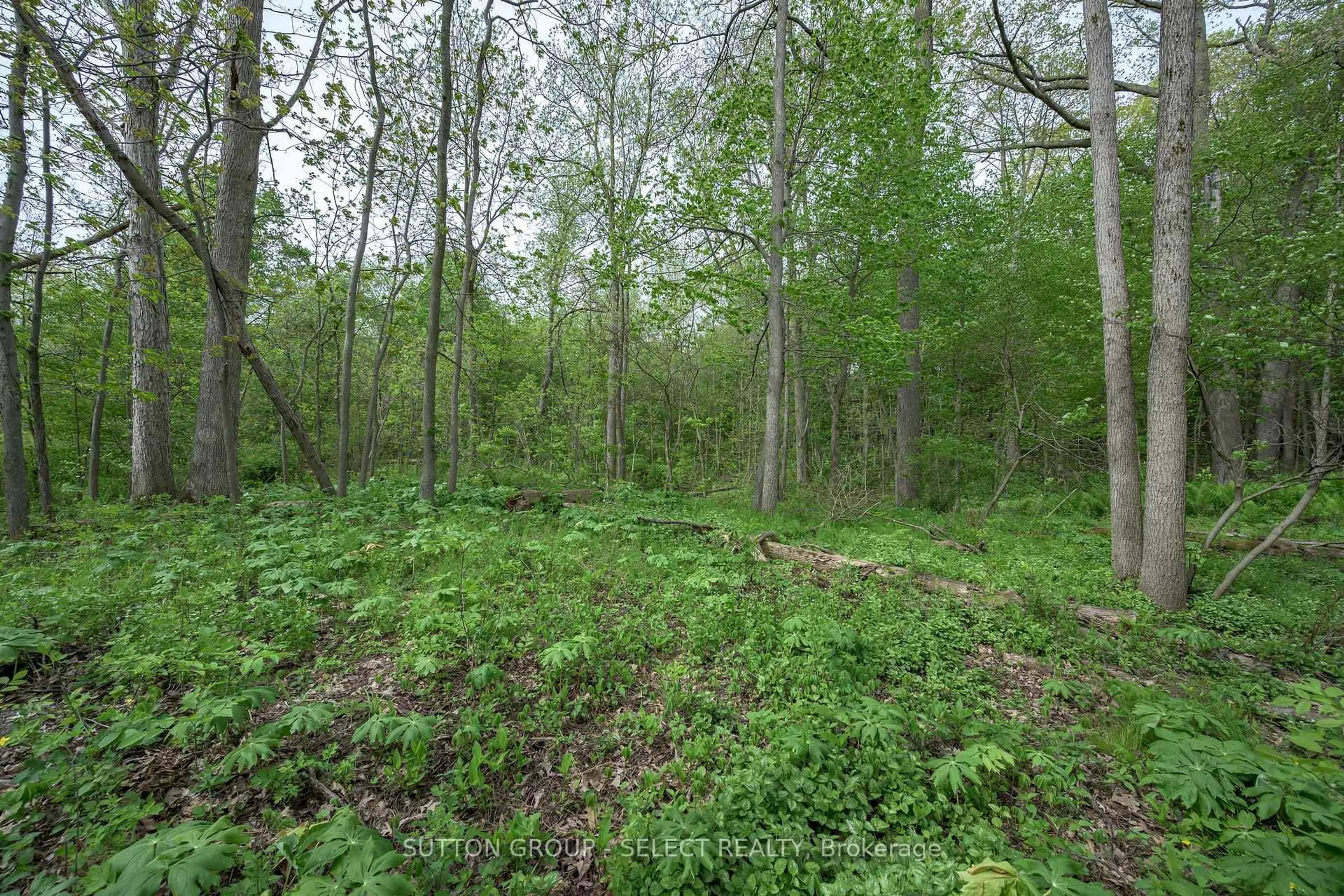 Unknown for 38 Camrose Crt, London South Ontario N6K 4B5
