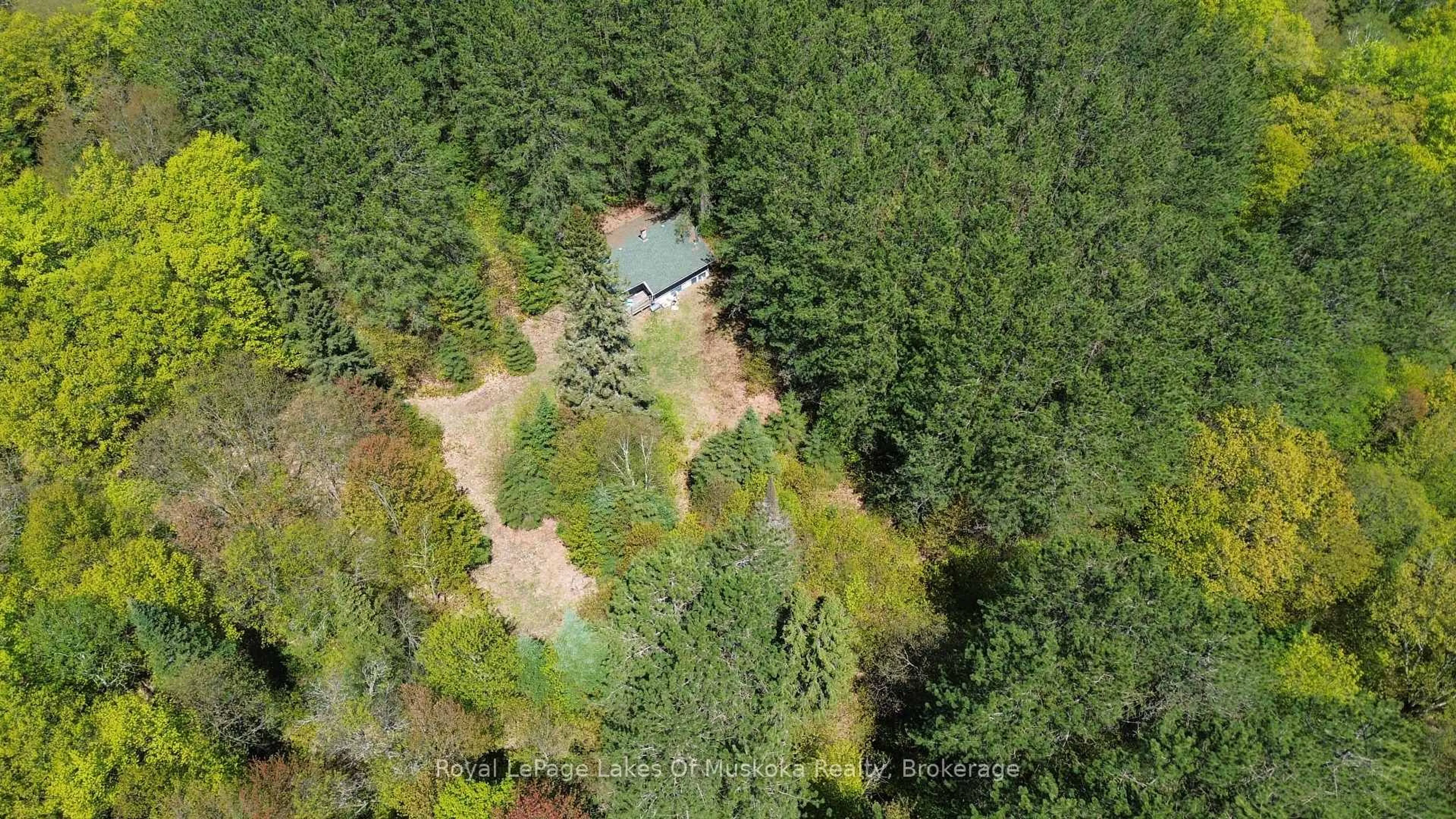 A pic from outside/outdoor area/front of a property/back of a property/a pic from drone, forest/trees view for 386 Locke's Rd, Perry Ontario P0A 1R0