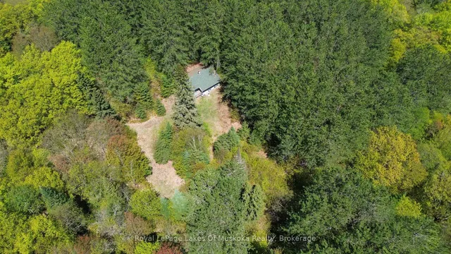 386 Locke's Rd, Perry 2