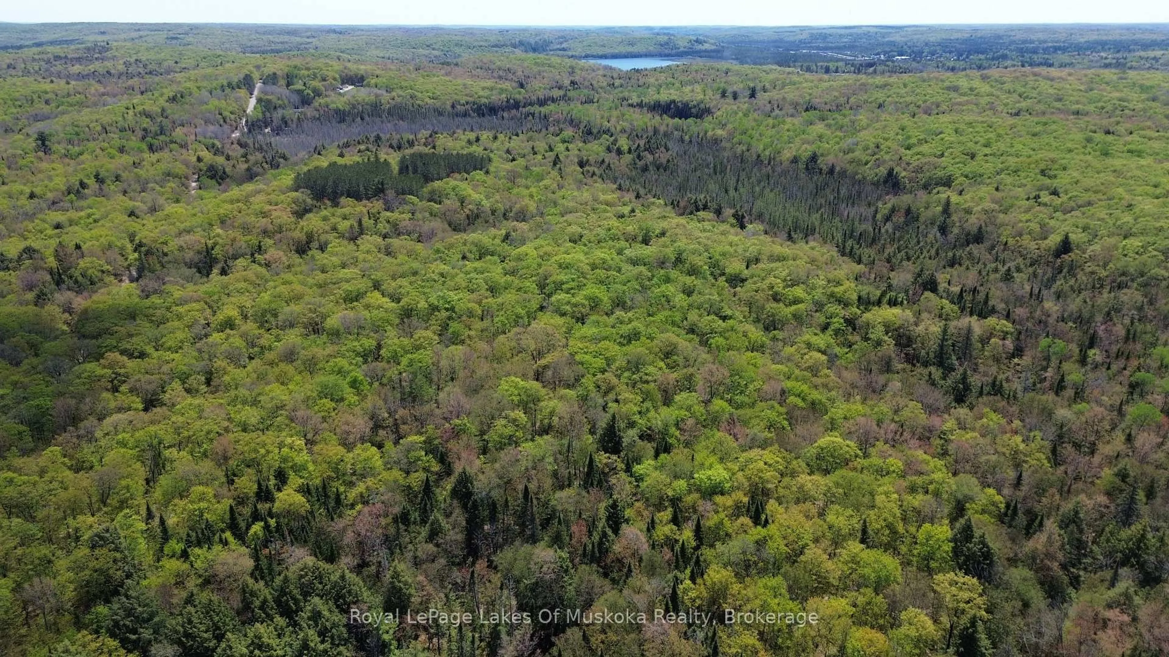 A pic from outside/outdoor area/front of a property/back of a property/a pic from drone, forest/trees view for 386 Locke's Rd, Perry Ontario P0A 1R0