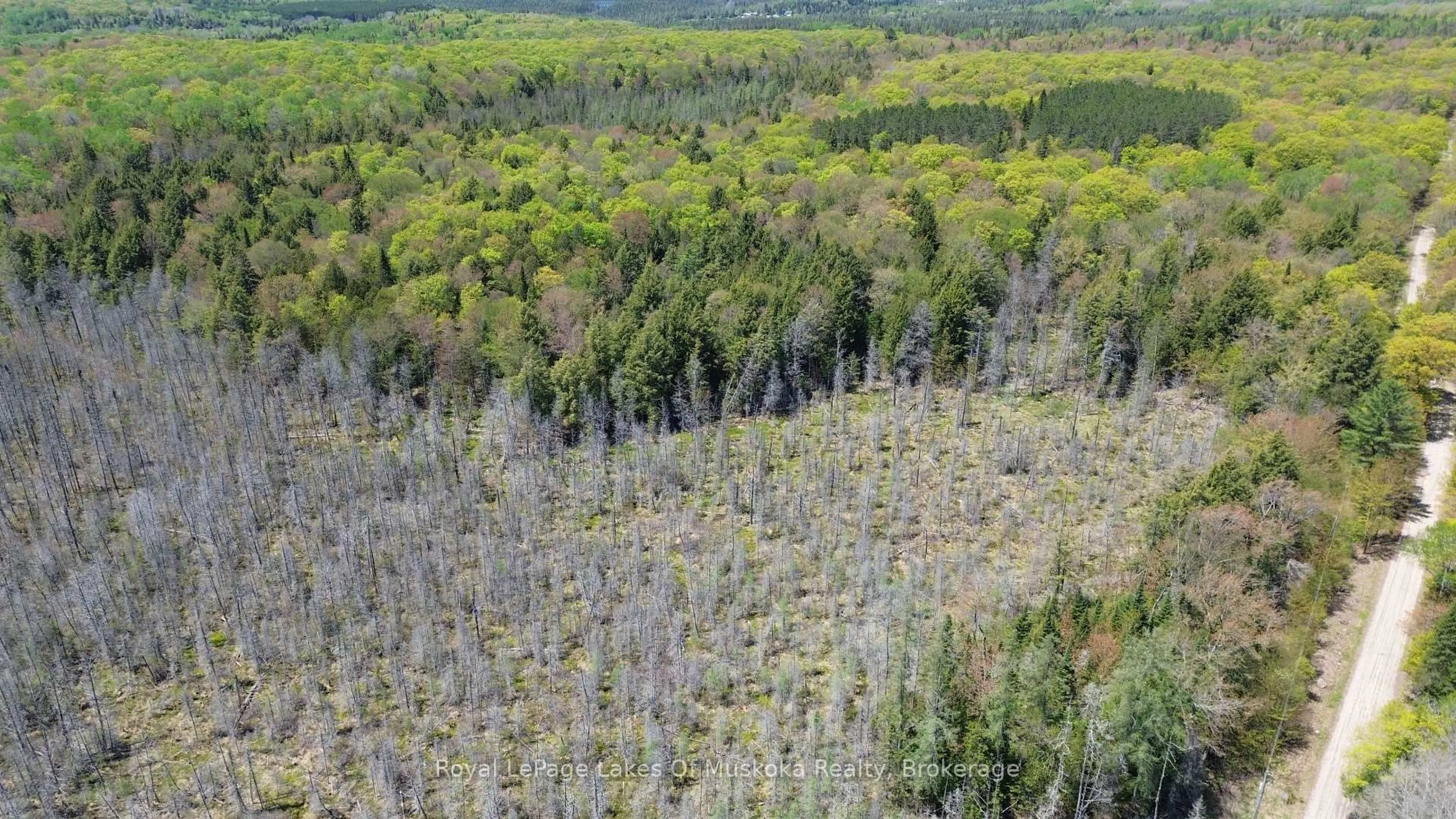 A pic from outside/outdoor area/front of a property/back of a property/a pic from drone, forest/trees view for 386 Locke's Rd, Perry Ontario P0A 1R0