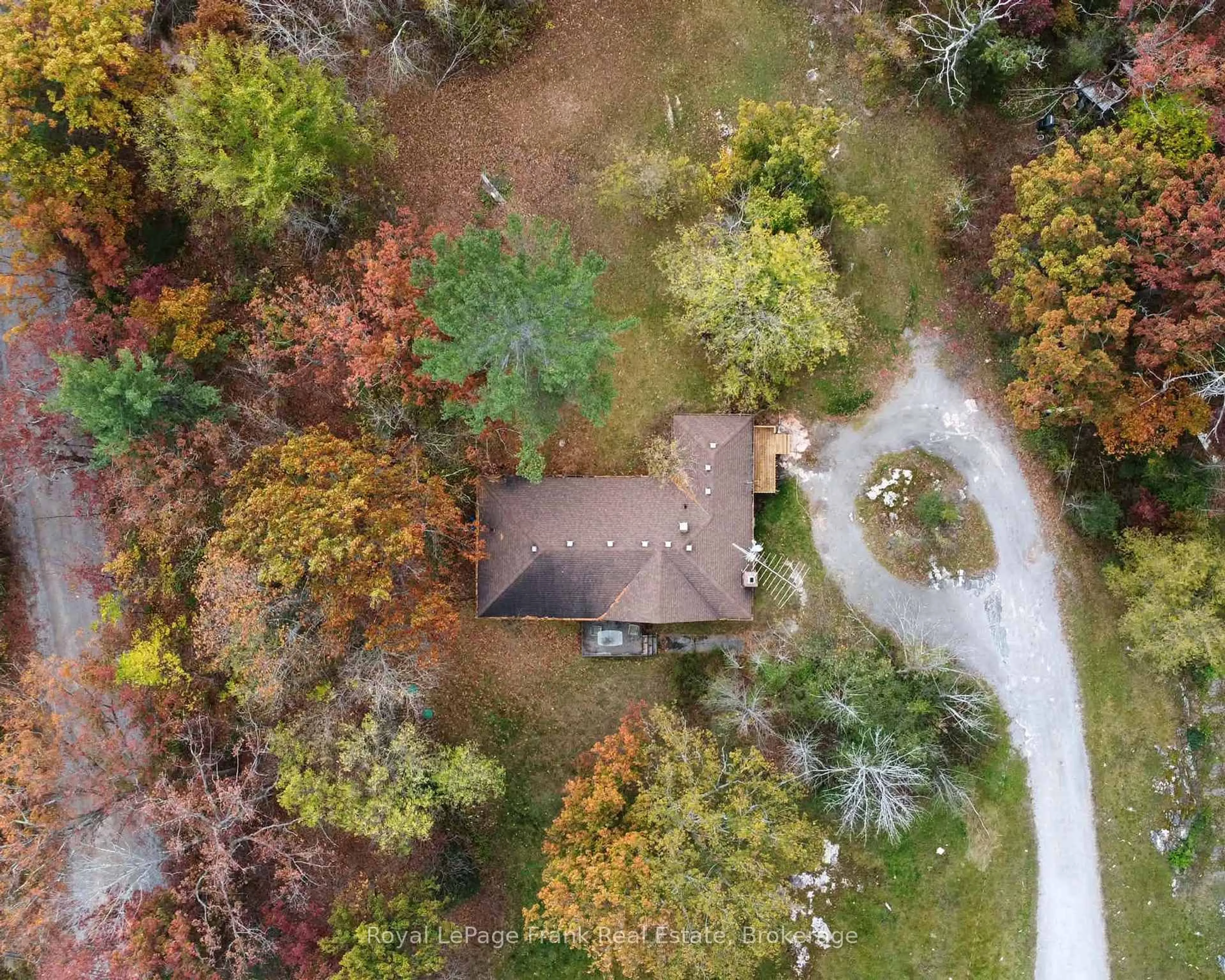 A pic from outside/outdoor area/front of a property/back of a property/a pic from drone, forest/trees view for 3320 Buckhorn Rd, Selwyn Ontario K0L 1J0