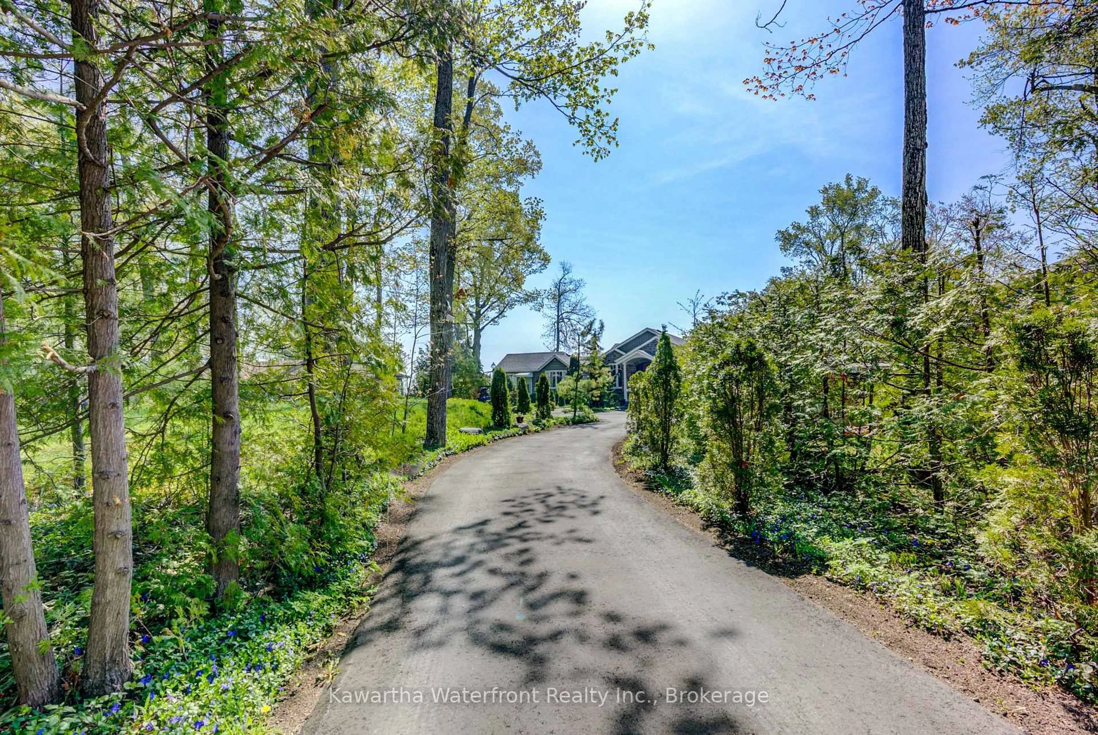 A pic from outside/outdoor area/front of a property/back of a property/a pic from drone, forest/trees view for 48 Maple Ave, Kawartha Lakes Ontario K0M 2B0
