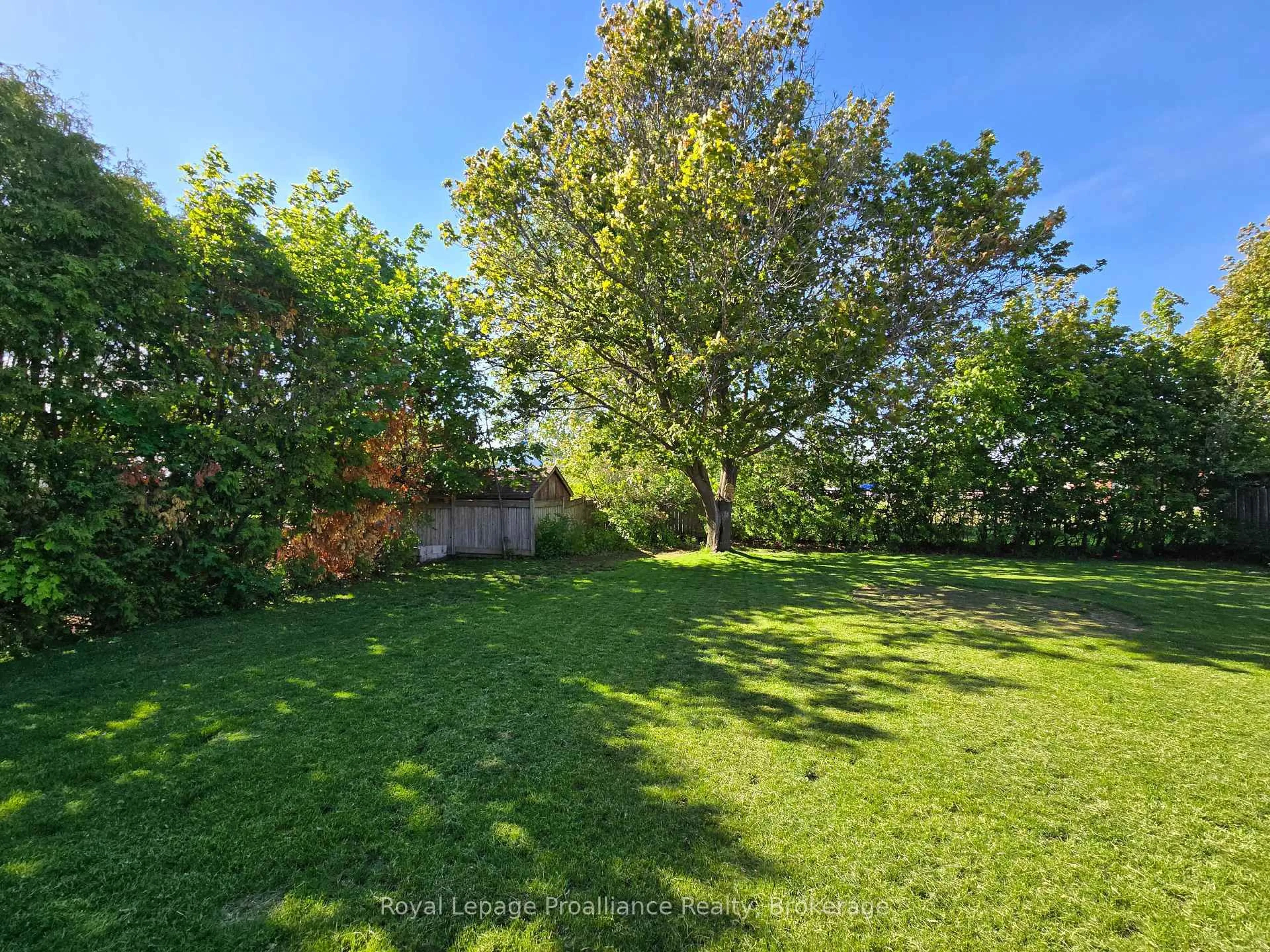 A pic from outside/outdoor area/front of a property/back of a property/a pic from drone, forest/trees view for 16 Auburn St, Belleville Ontario K8P 2N2