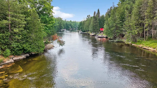 92 Shadow Lake Rd 28 Rd, Kawartha Lakes 5