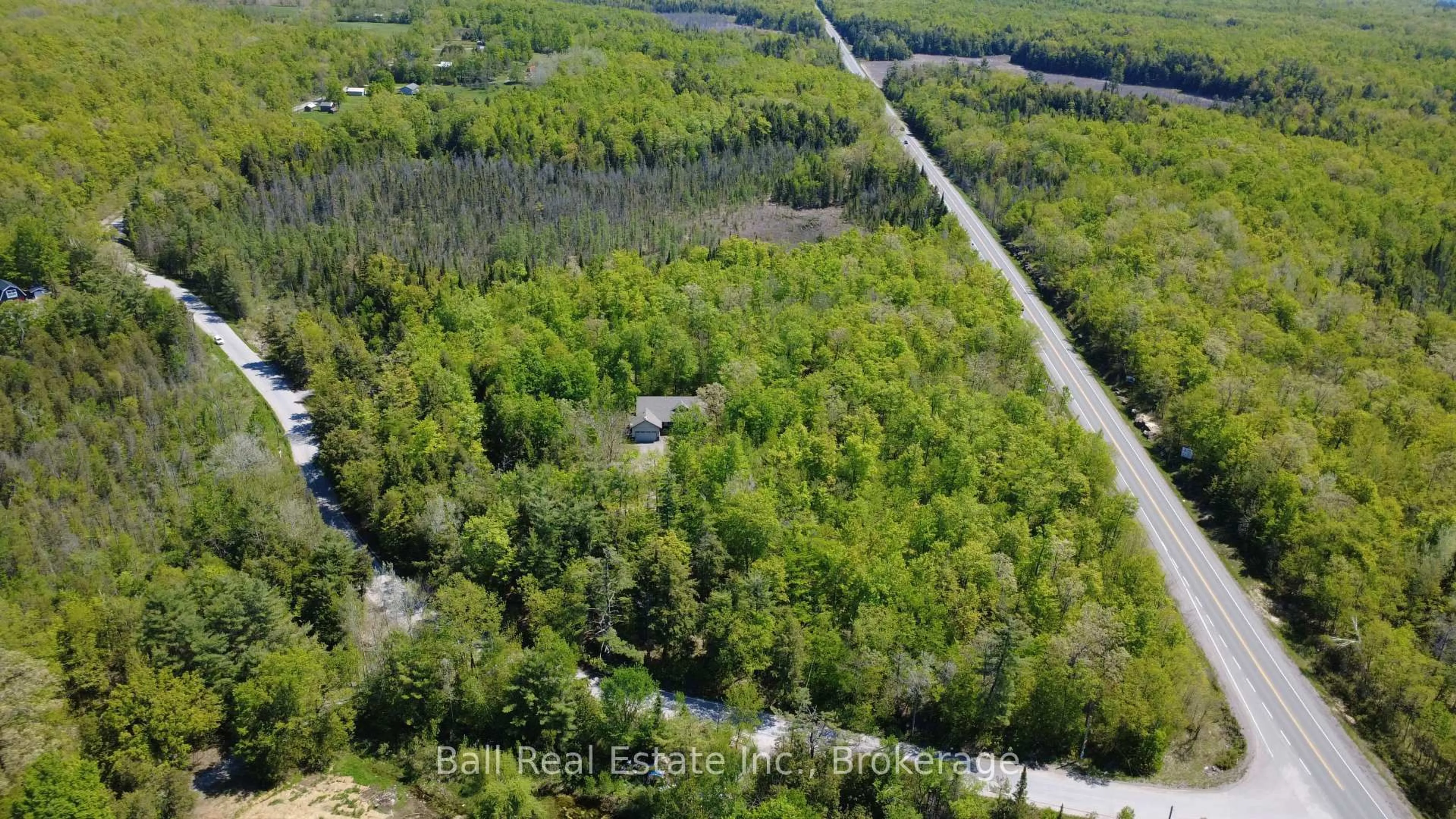 A pic from outside/outdoor area/front of a property/back of a property/a pic from drone, forest/trees view for 53 Coon Lake Rd, North Kawartha Ontario K0L 2H0