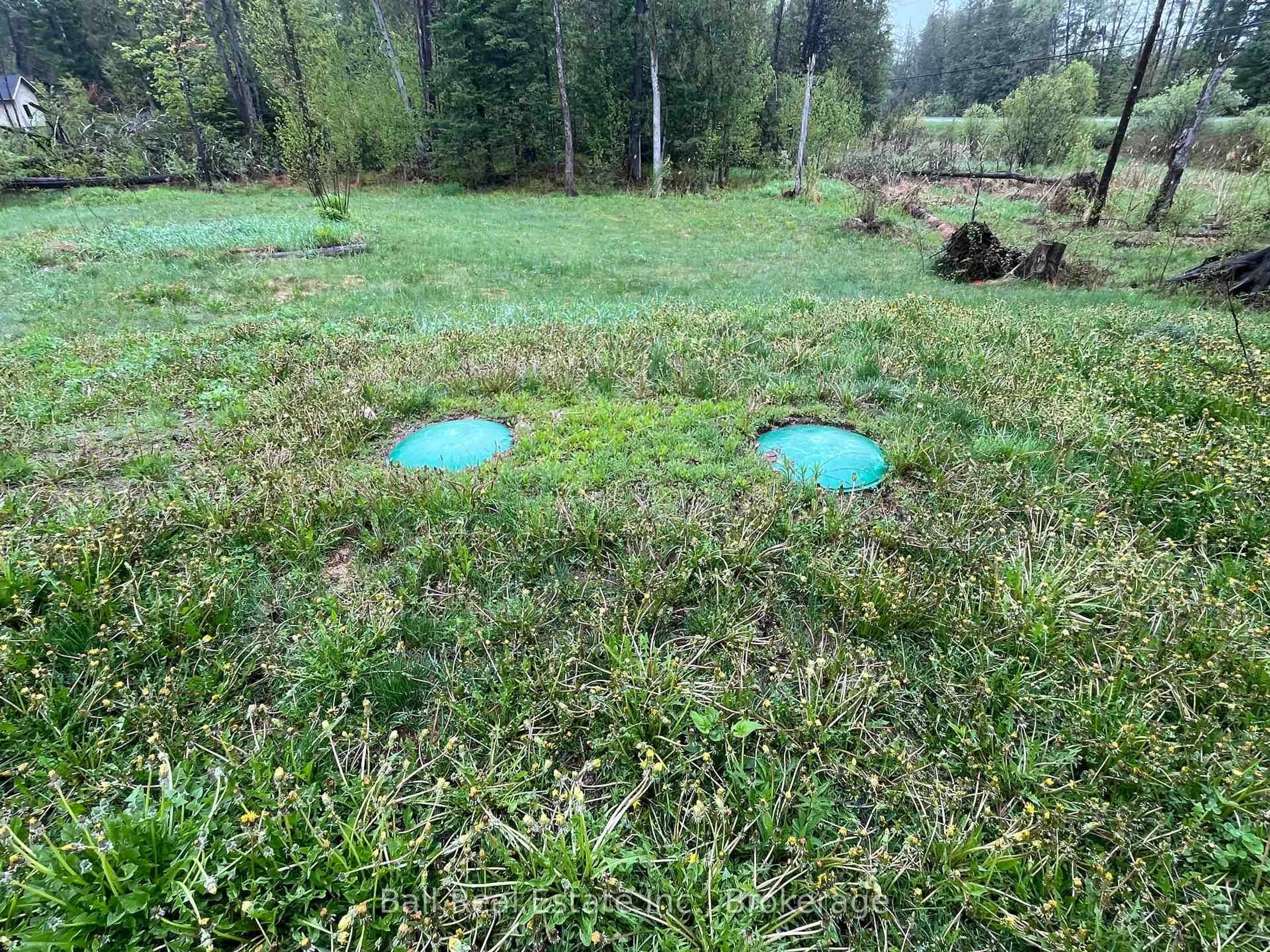 A pic from outside/outdoor area/front of a property/back of a property/a pic from drone, forest/trees view for 1594 North Steenburg Lake Rd, Coe Hill Ontario K0L 1P0