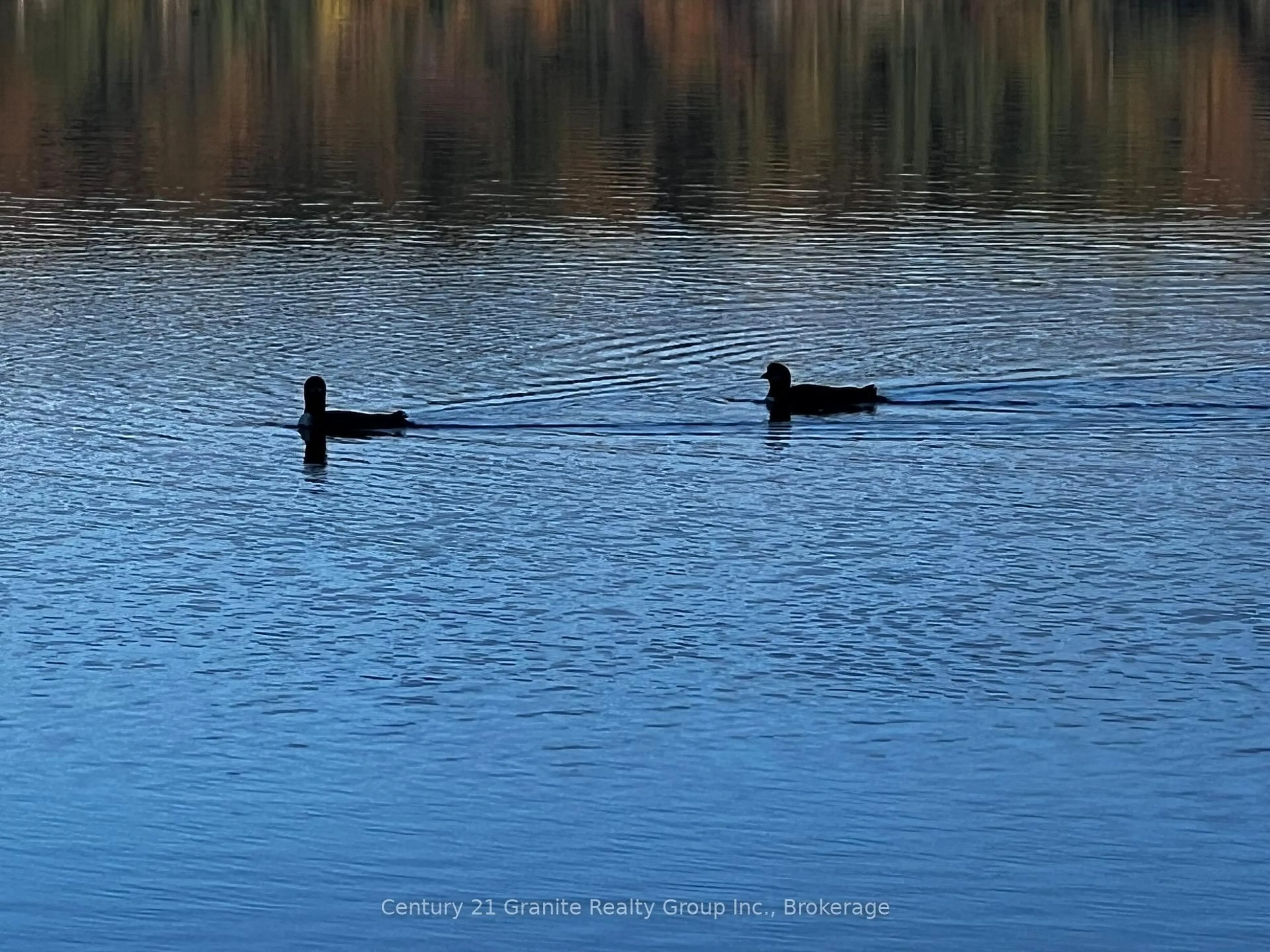 Unknown for 1141 Kanawa Lane, Algonquin Highlands Ontario K0M 1S0