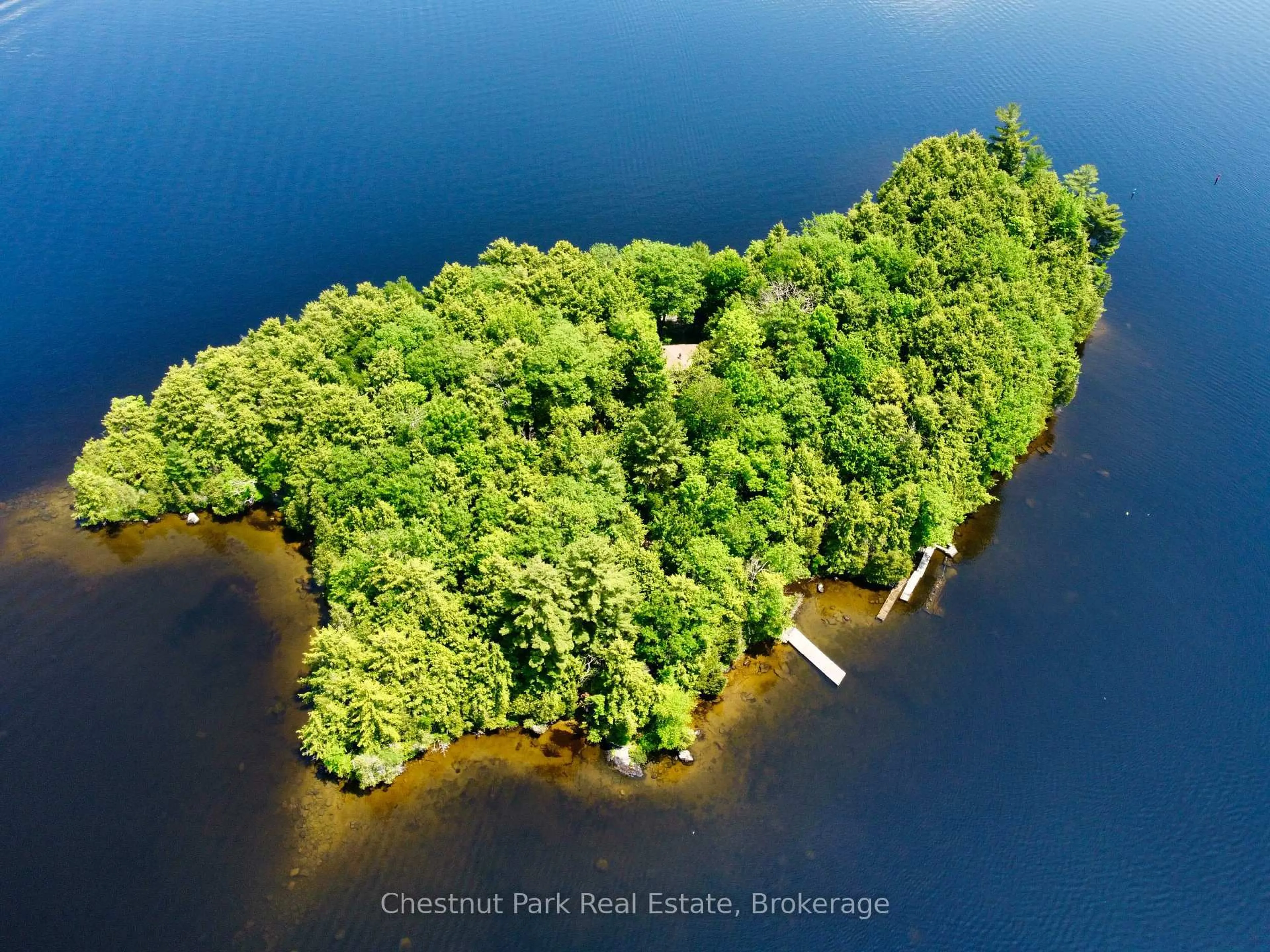 Picture of a map for 1 Cedar Island, Muskoka Lakes Ontario P0B 1J0