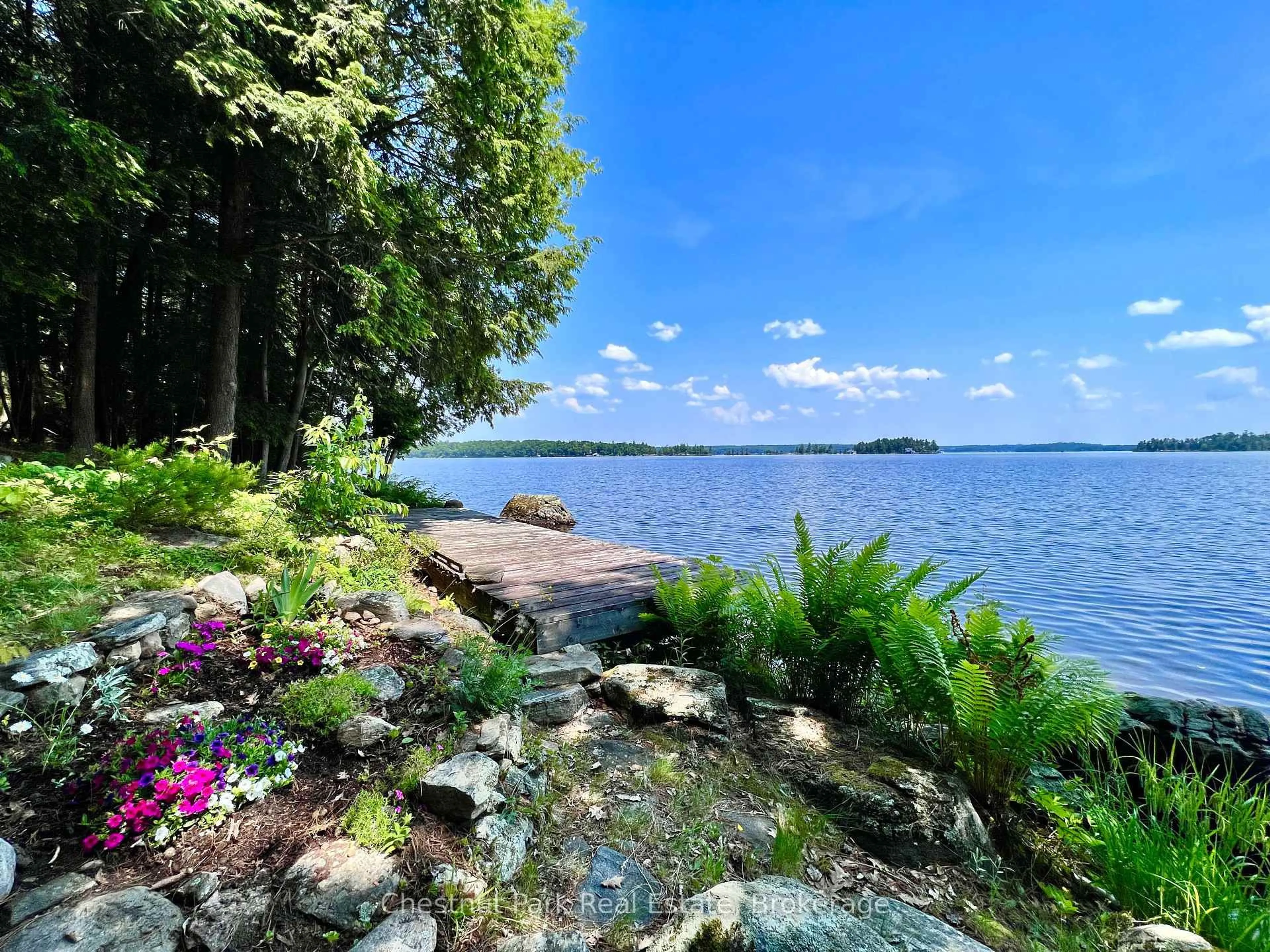 Patio, water/lake/river/ocean view for 1 Cedar Island, Muskoka Lakes Ontario P0B 1J0