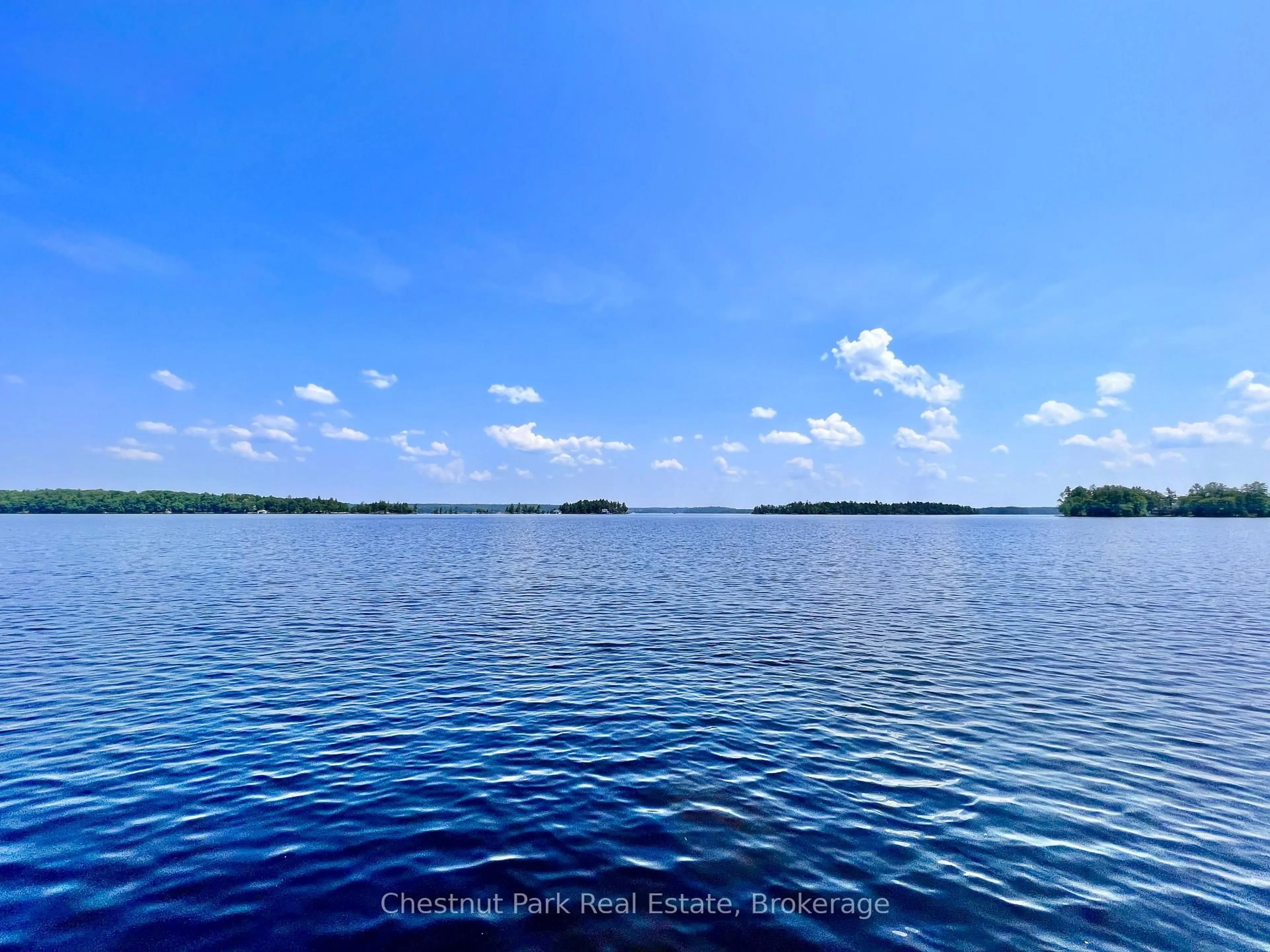 Blurry image for 1 Cedar Island, Muskoka Lakes Ontario P0B 1J0