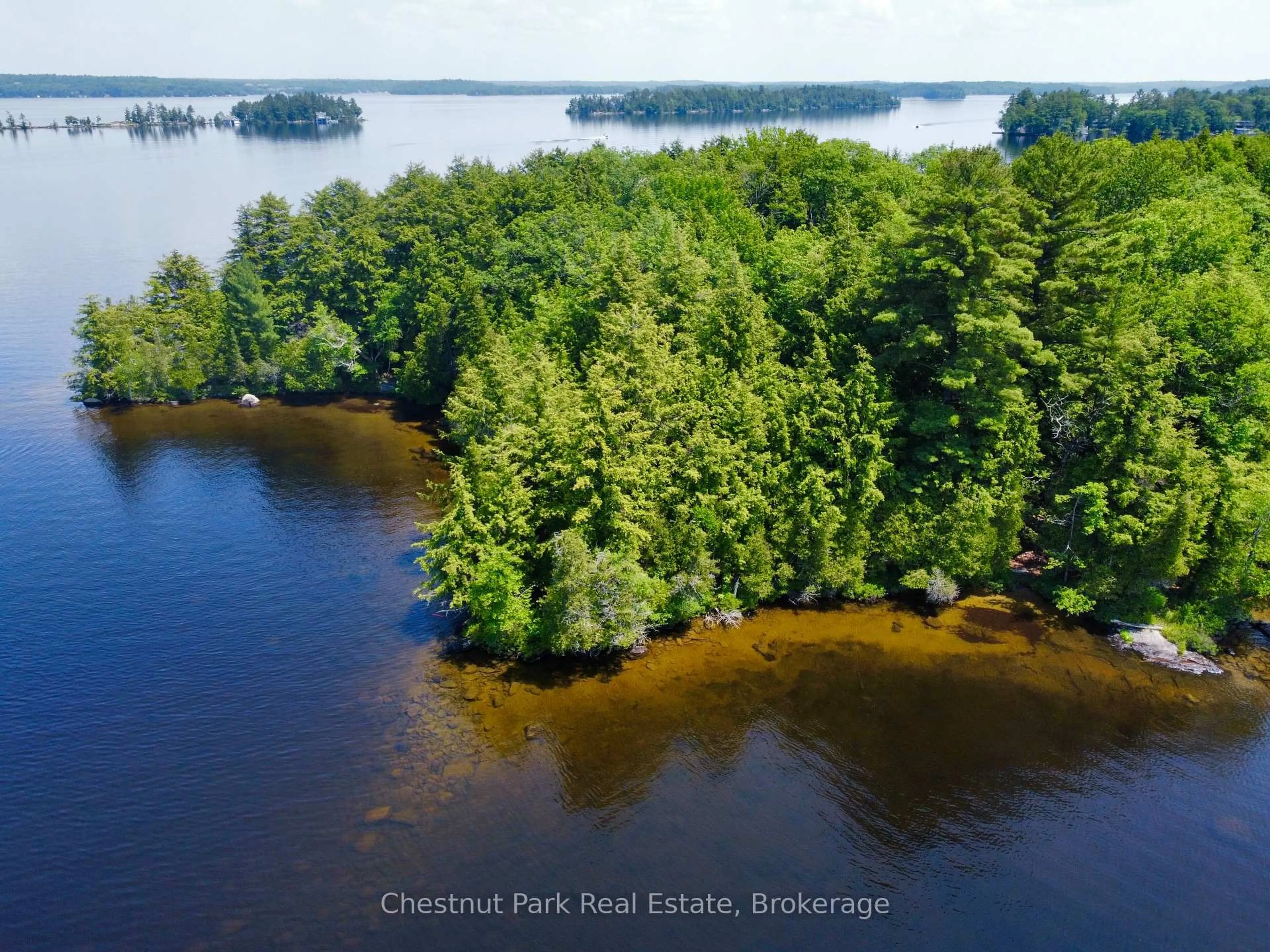 A pic from outside/outdoor area/front of a property/back of a property/a pic from drone, water/lake/river/ocean view for 1 Cedar Island, Muskoka Lakes Ontario P0B 1J0