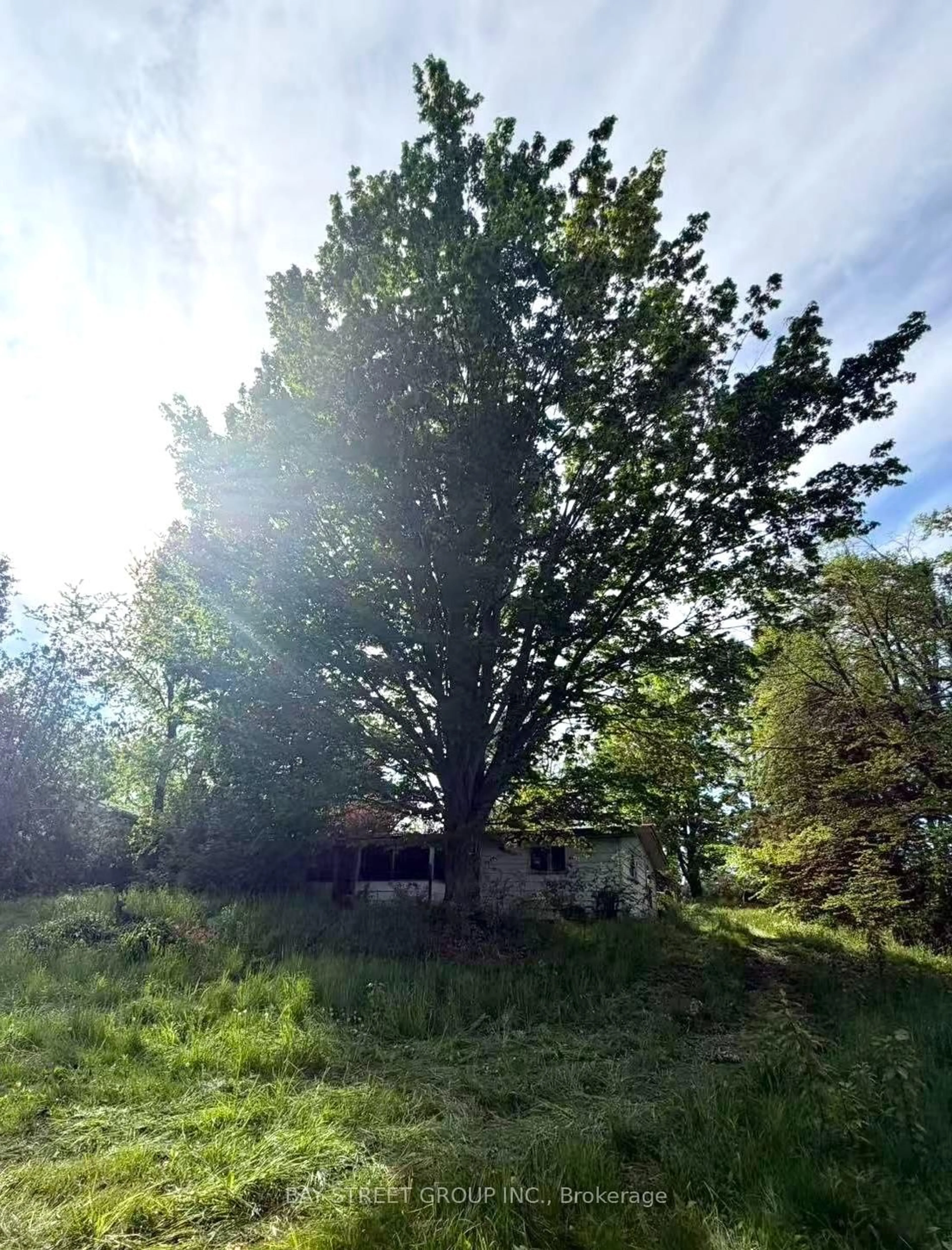 A pic from outside/outdoor area/front of a property/back of a property/a pic from drone, forest/trees view for 1288 Portage Rd, Kawartha Lakes Ontario K0M 2B0