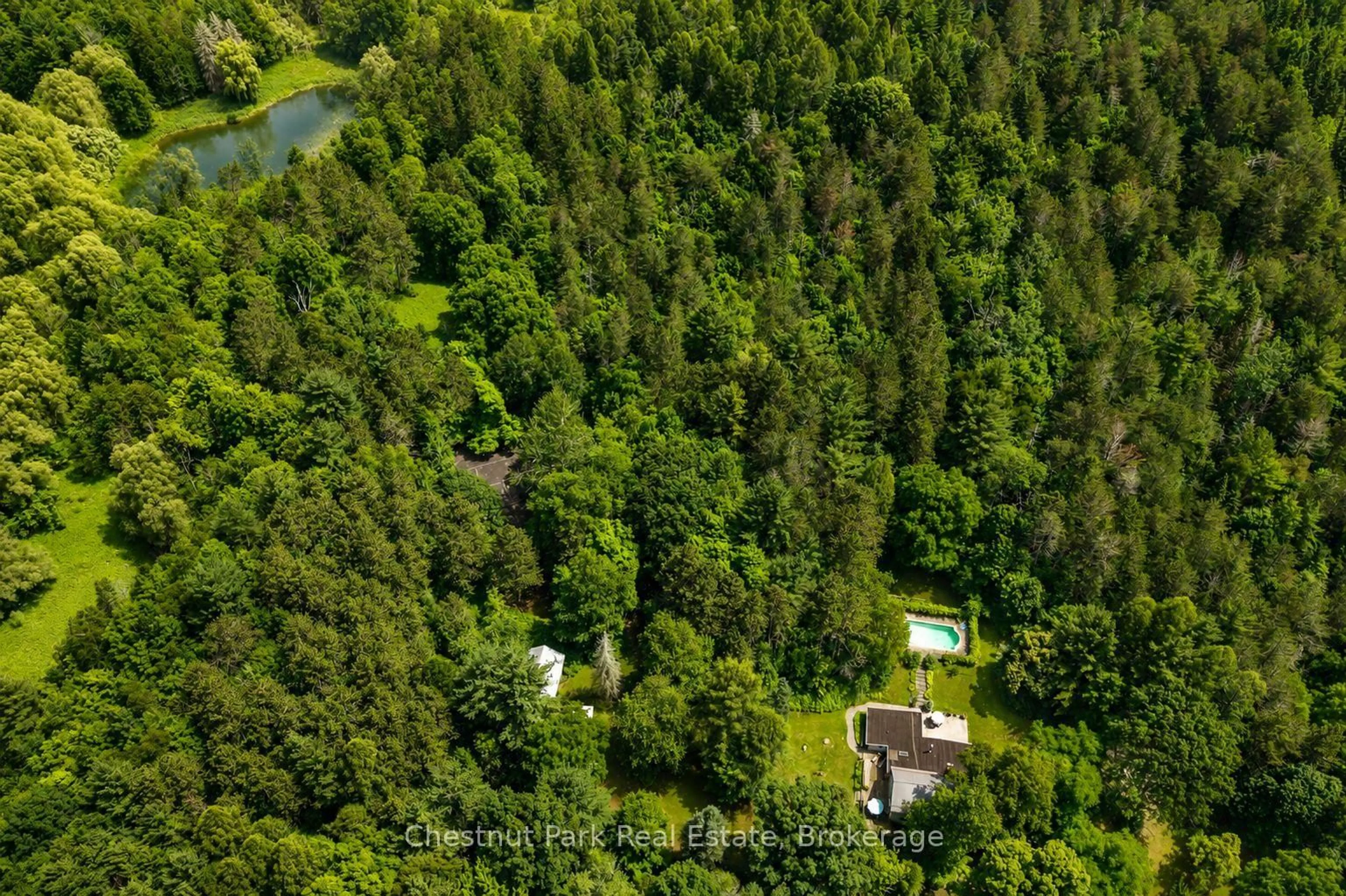 A pic from outside/outdoor area/front of a property/back of a property/a pic from drone, forest/trees view for 838151 4th Line, Mulmur Ontario L9V 0J6