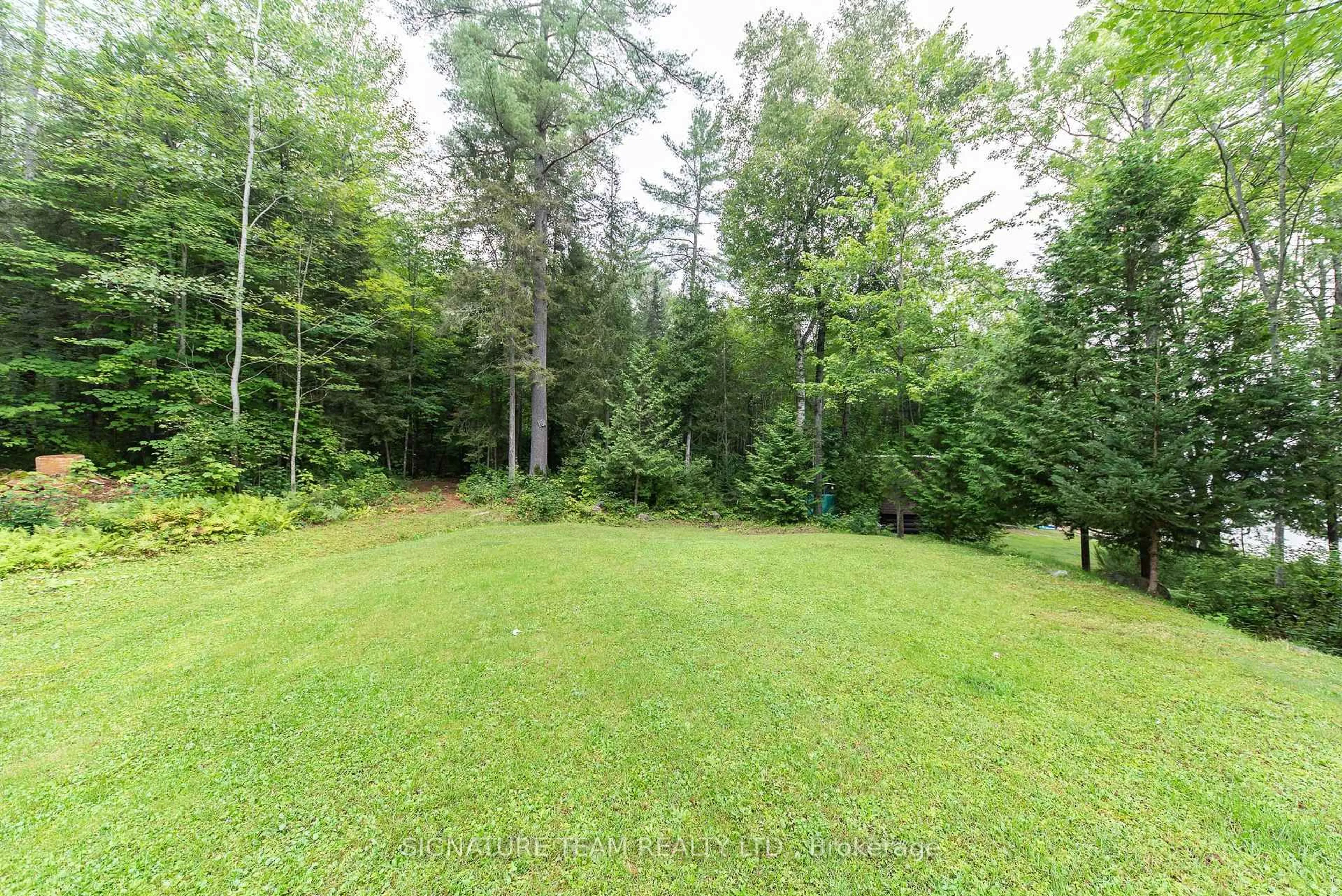 Patio, forest/trees view for 50 Misty Way, Deep River Ontario K0J 1P0