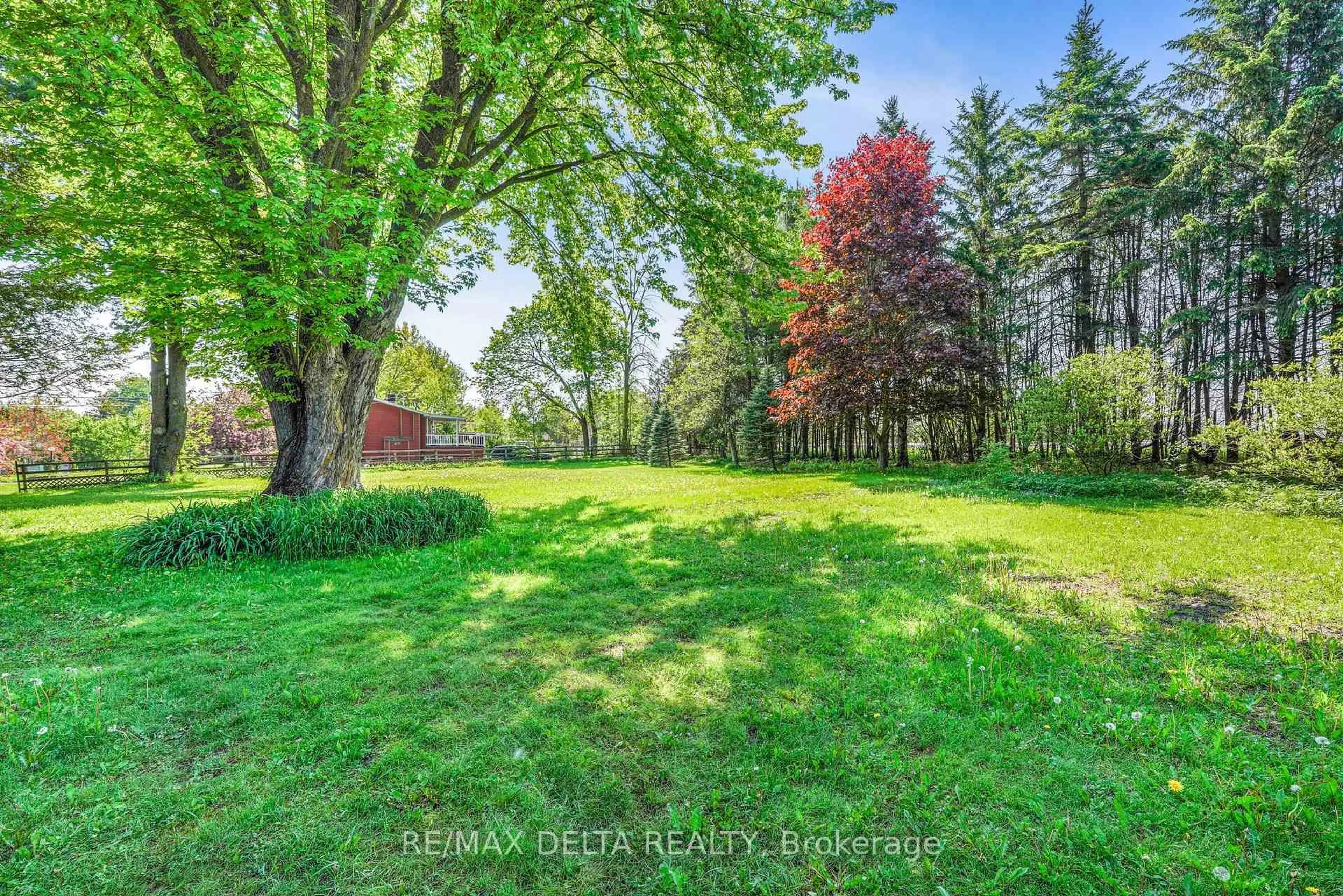 A pic from outside/outdoor area/front of a property/back of a property/a pic from drone, forest/trees view for 3558 Principale street St, Alfred and Plantagenet Ontario K0A 3K0