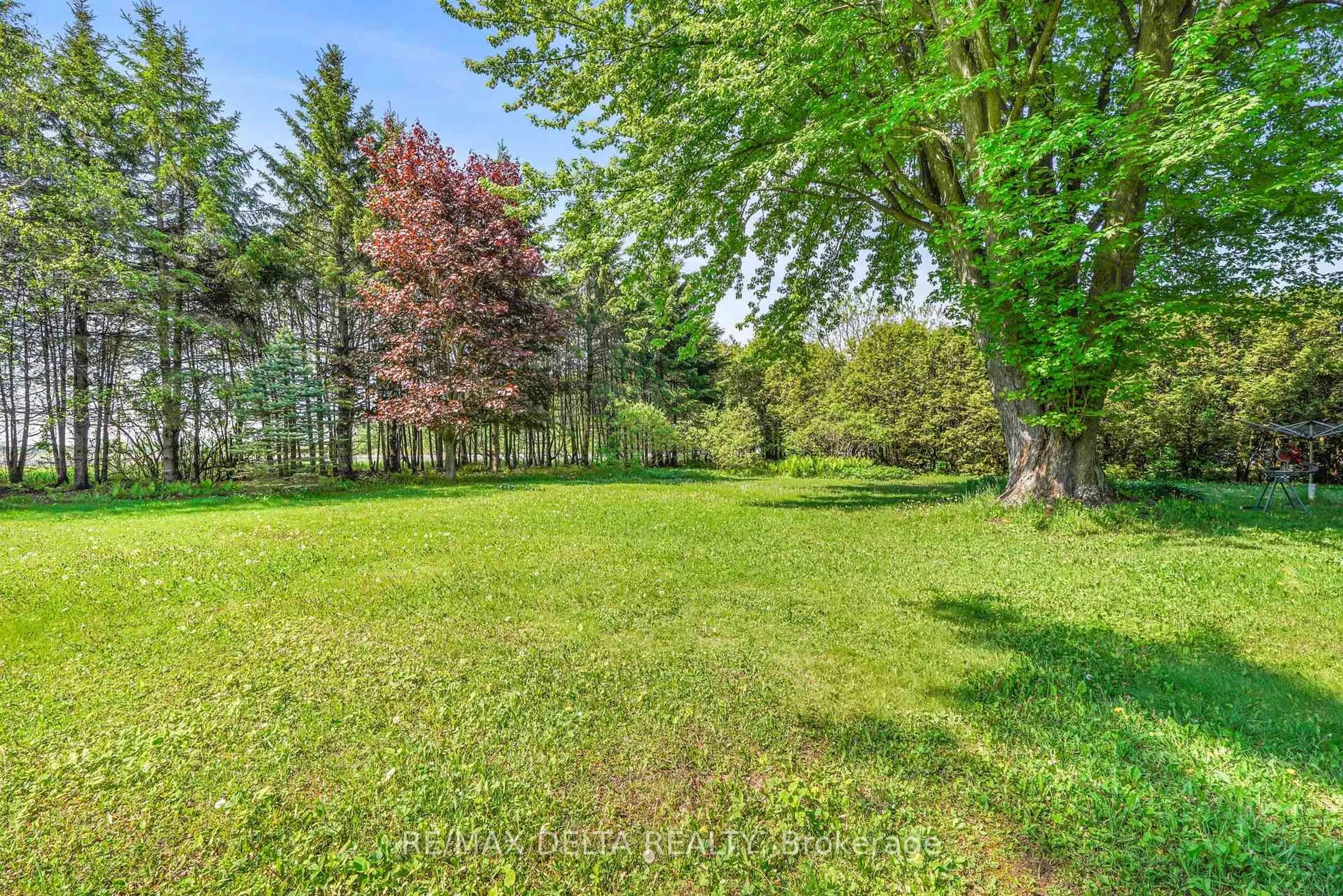 Patio, forest/trees view for 3558 Principale street St, Alfred and Plantagenet Ontario K0A 3K0
