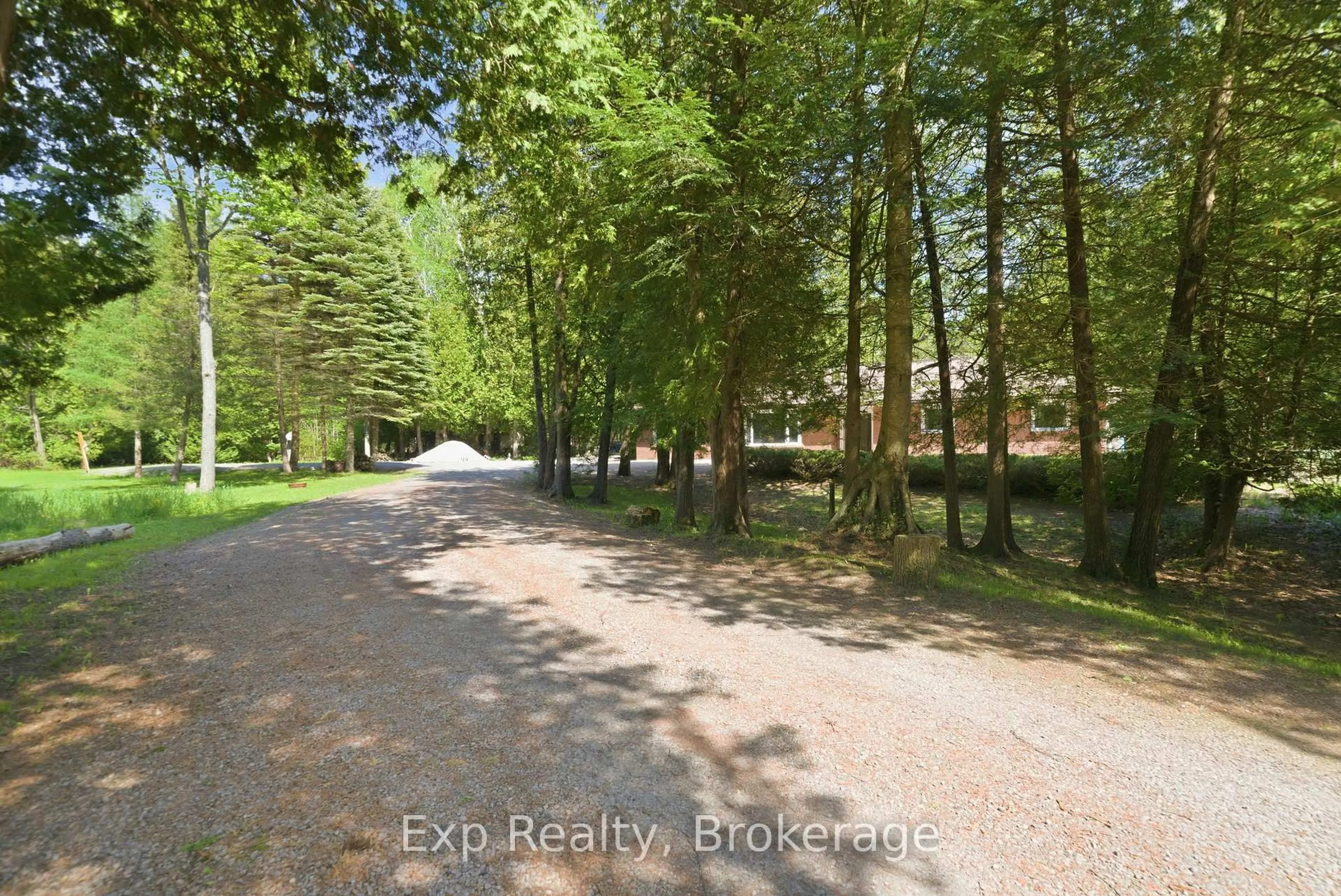A pic from outside/outdoor area/front of a property/back of a property/a pic from drone, forest/trees view for 8227 Gilmour Rd, Port Hope Ontario L0A 1B0