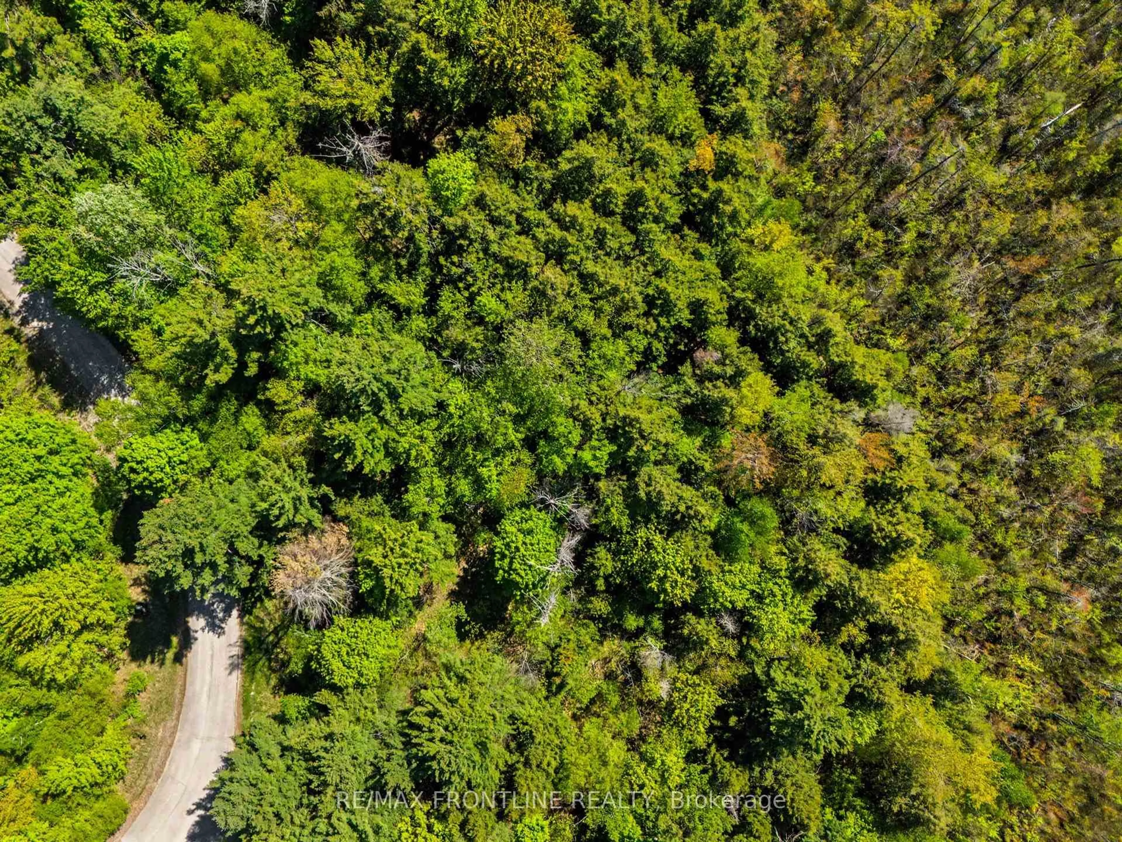 A pic from outside/outdoor area/front of a property/back of a property/a pic from drone, forest/trees view for 103 Healey Dr, Perth Ontario K7H 0H1