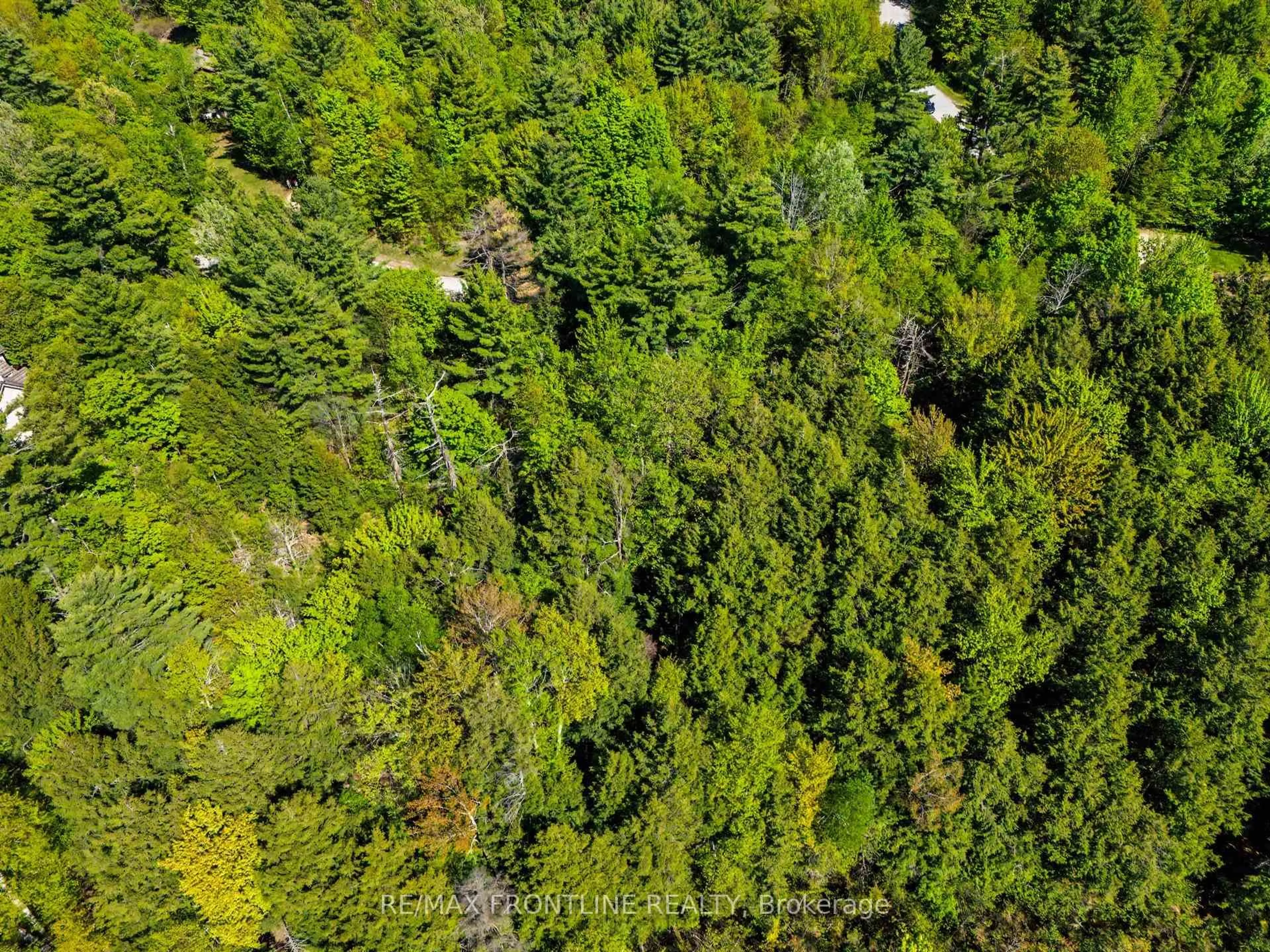 A pic from outside/outdoor area/front of a property/back of a property/a pic from drone, forest/trees view for 103 Healey Dr, Perth Ontario K7H 0H1