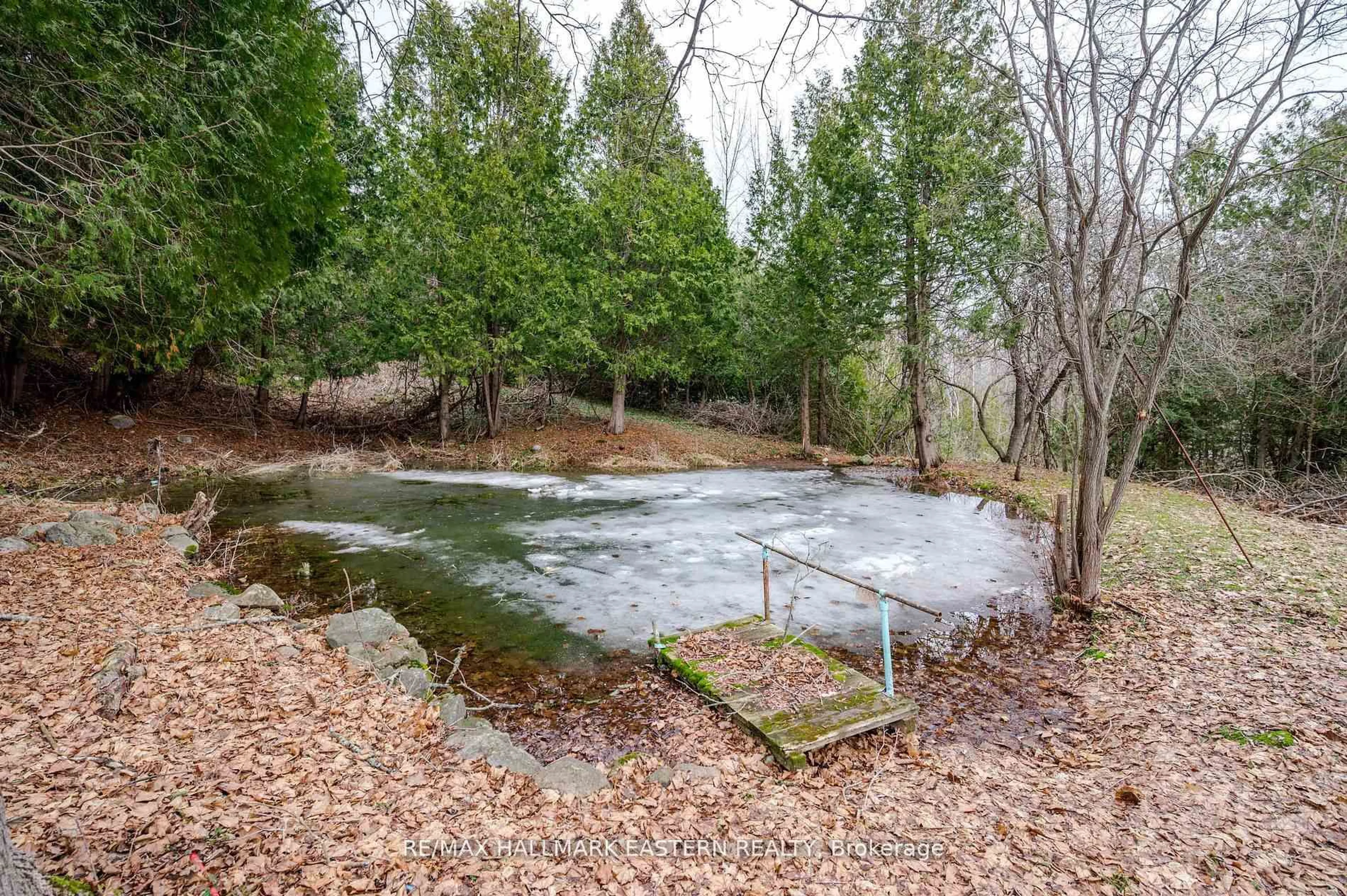Pool for 521 Concession Rd 8, Trent Hills Ontario K0L 1Y0