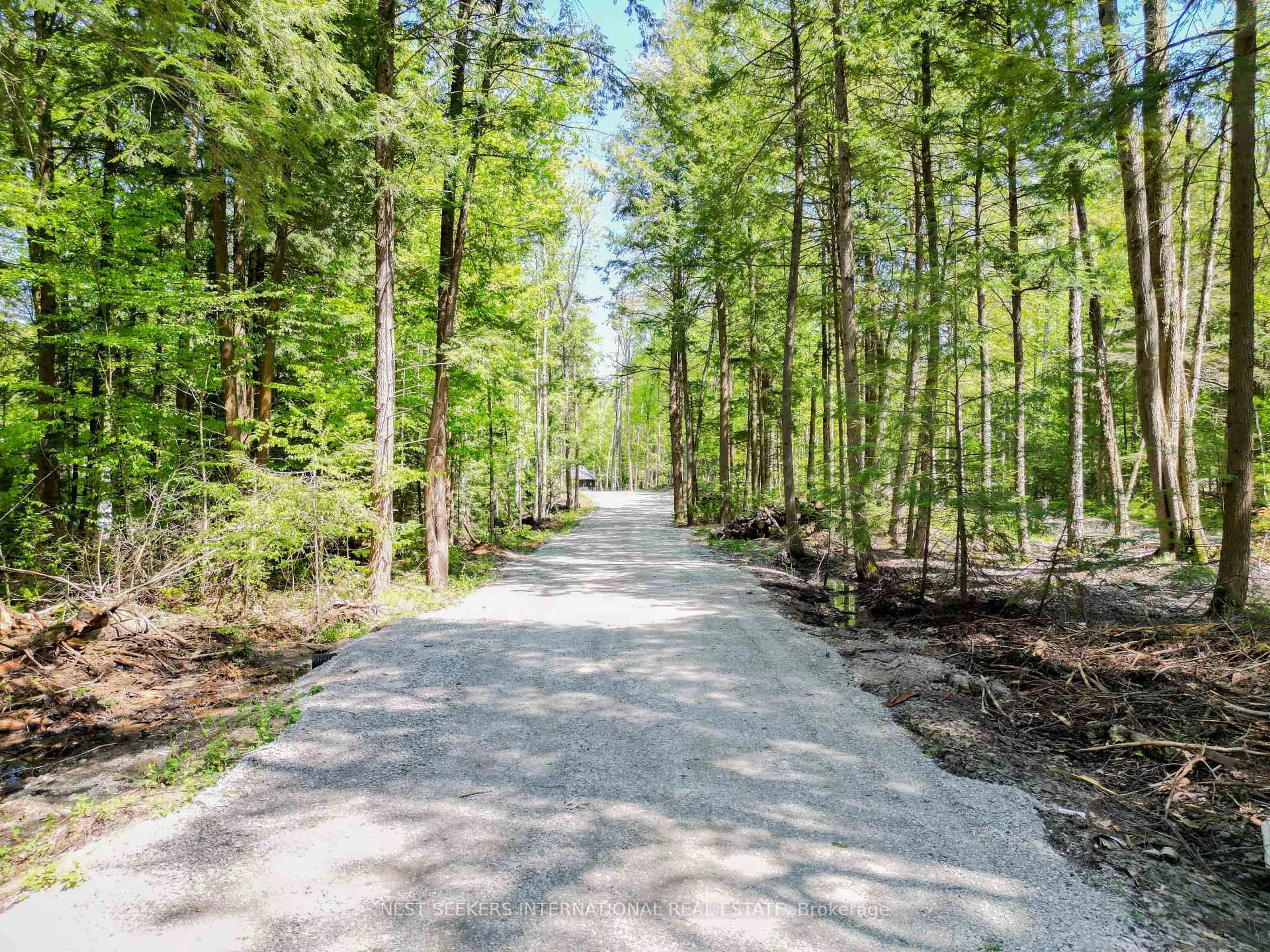 Patio, forest/trees view for 1017 Davis Dr, Gravenhurst Ontario P0E 1N0