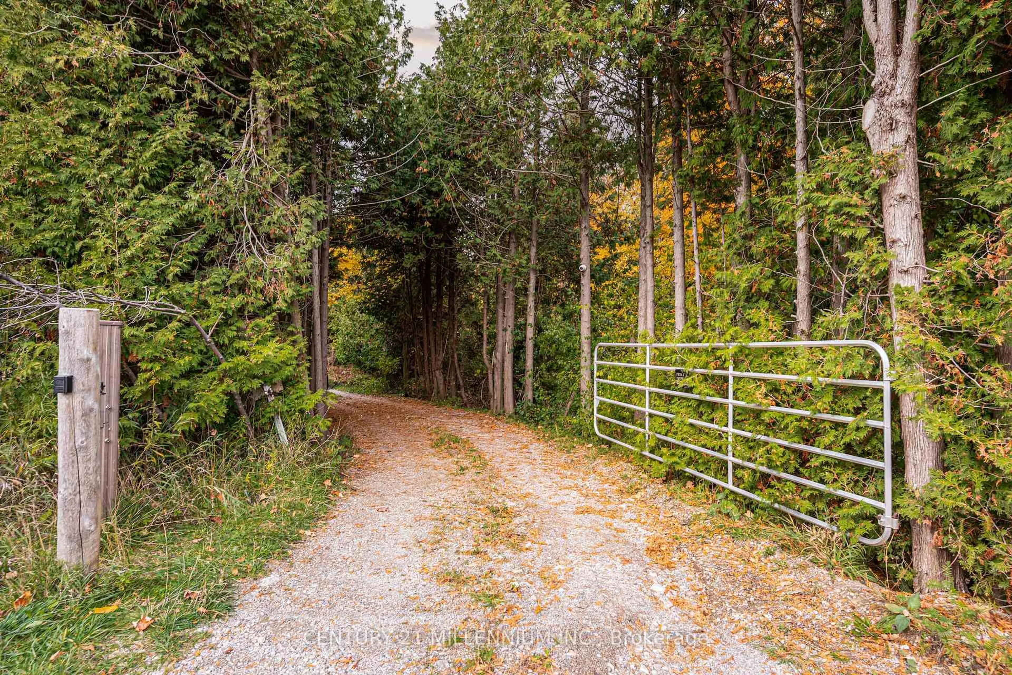 A pic from outside/outdoor area/front of a property/back of a property/a pic from drone, forest/trees view for 6389 Second Line, Centre Wellington Ontario N1M 2W5