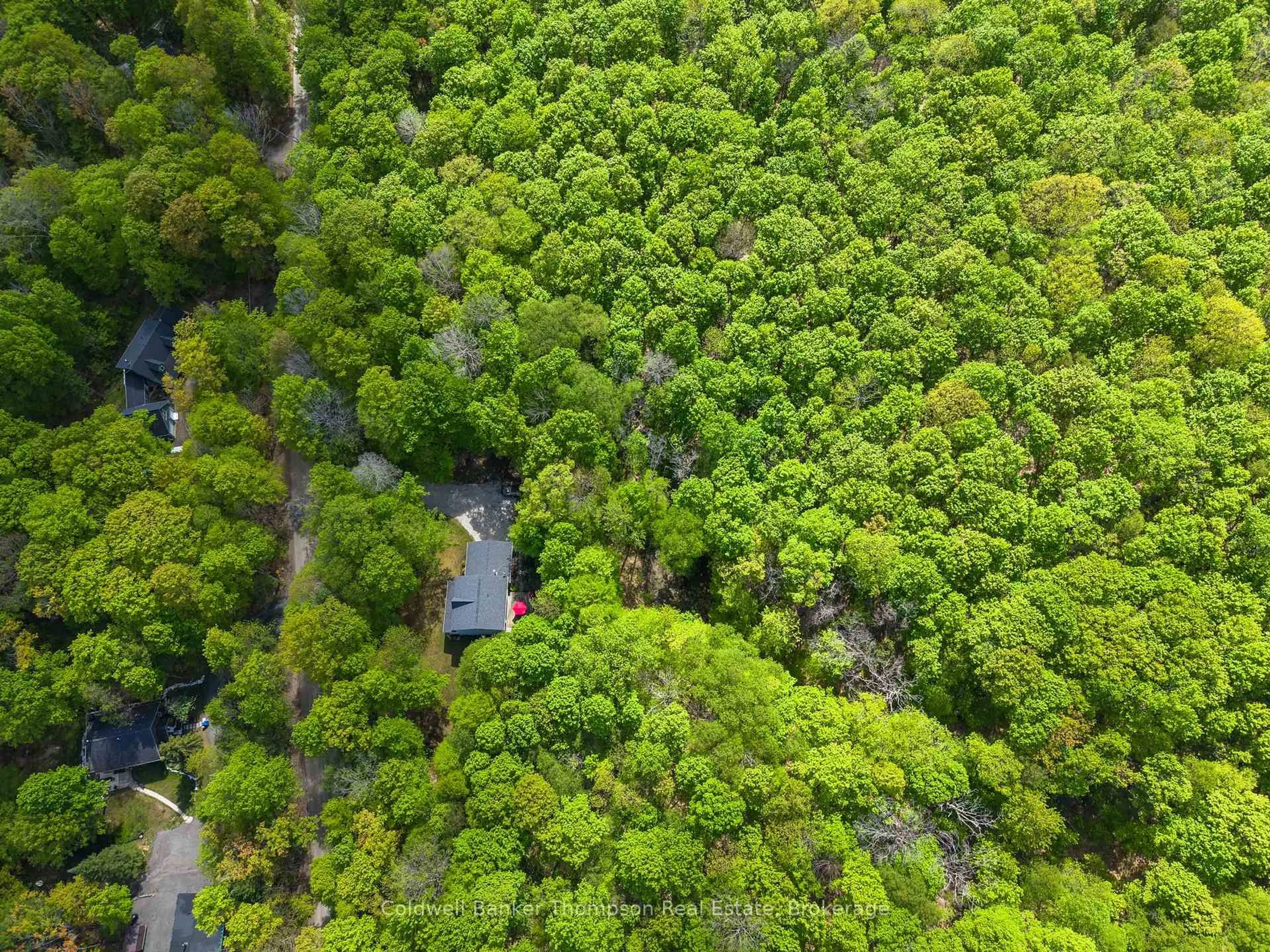 A pic from outside/outdoor area/front of a property/back of a property/a pic from drone, forest/trees view for 1067 Hillside Cres, Lake of Bays Ontario P1H 2J6