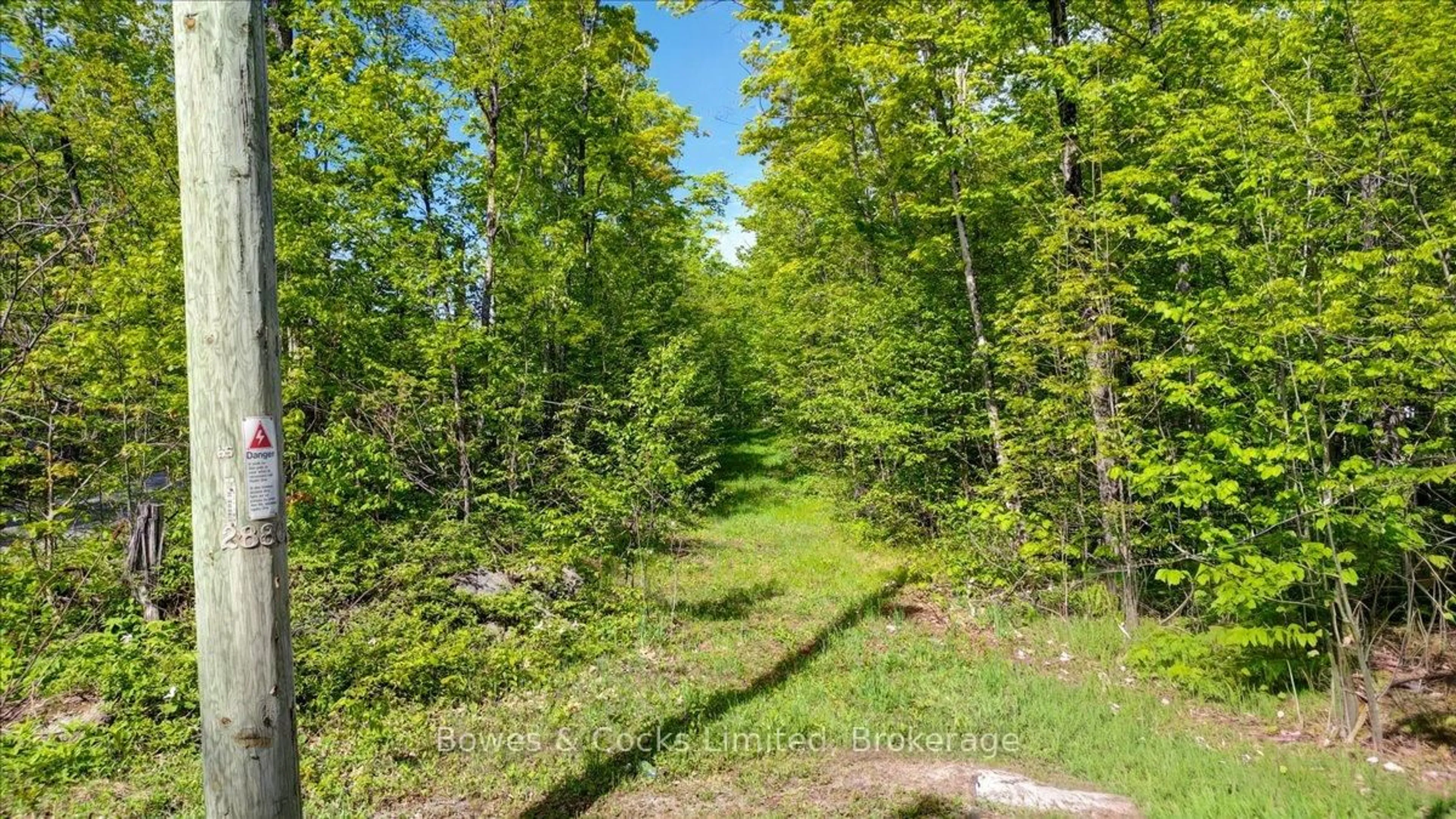 A pic from outside/outdoor area/front of a property/back of a property/a pic from drone, forest/trees view for 3463 County Road 44, Havelock-Belmont-Methuen Ontario K0L 1Z0