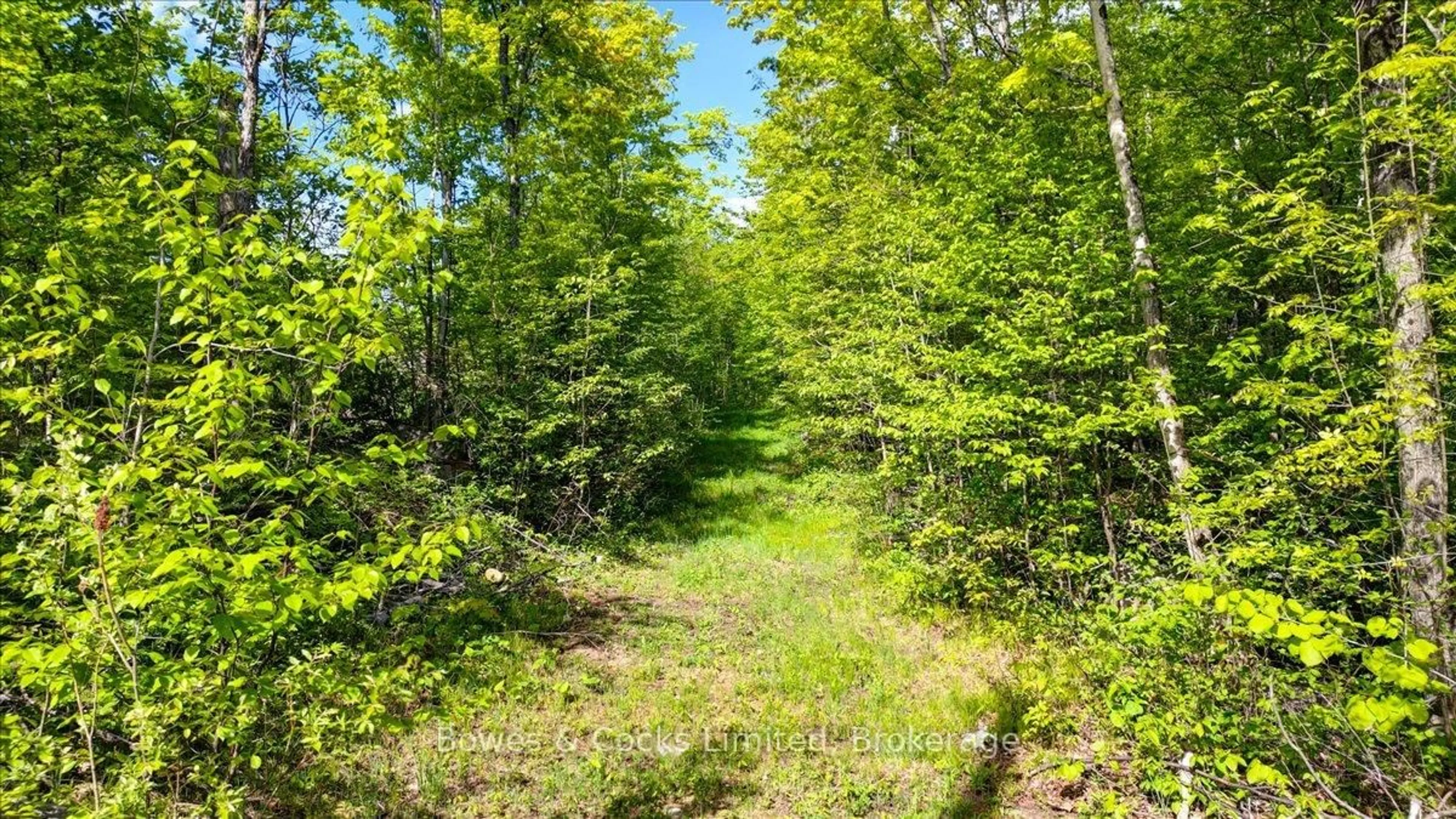 Unknown for 3463 County Road 44, Havelock-Belmont-Methuen Ontario K0L 1Z0