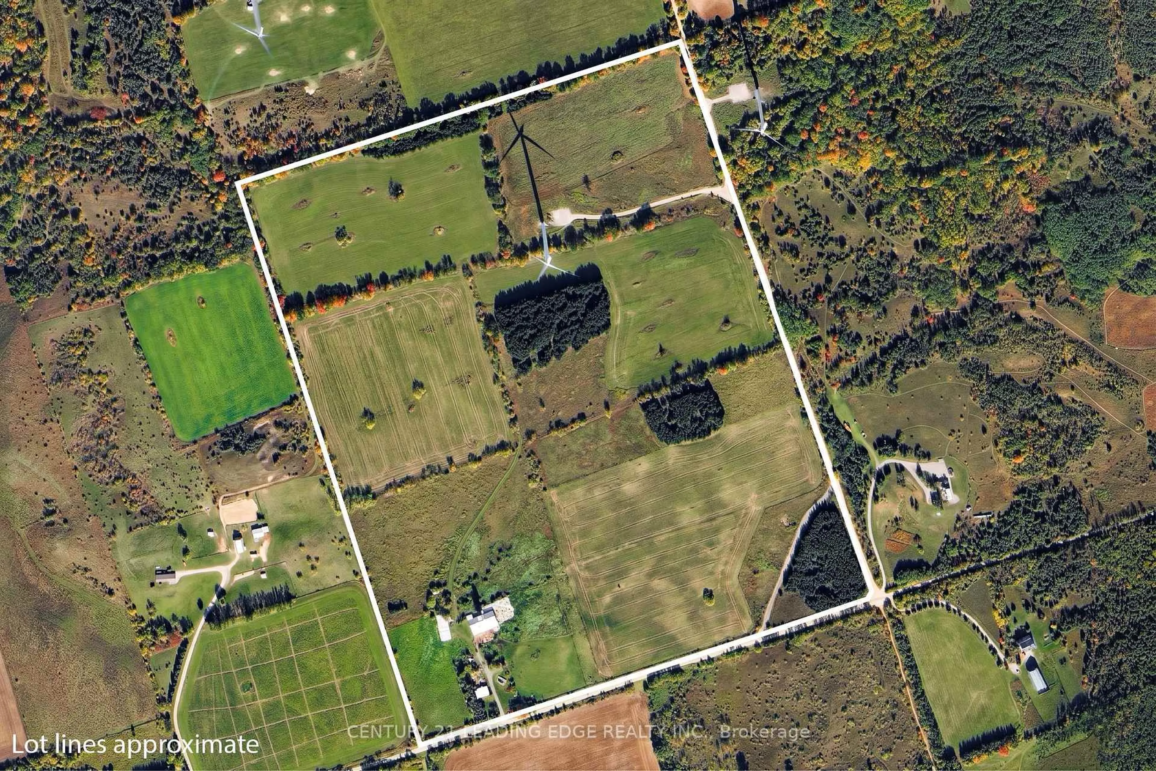 A pic from outside/outdoor area/front of a property/back of a property/a pic from drone, street for 801 Ballyduff Rd, Kawartha Lakes Ontario L0A 1K0