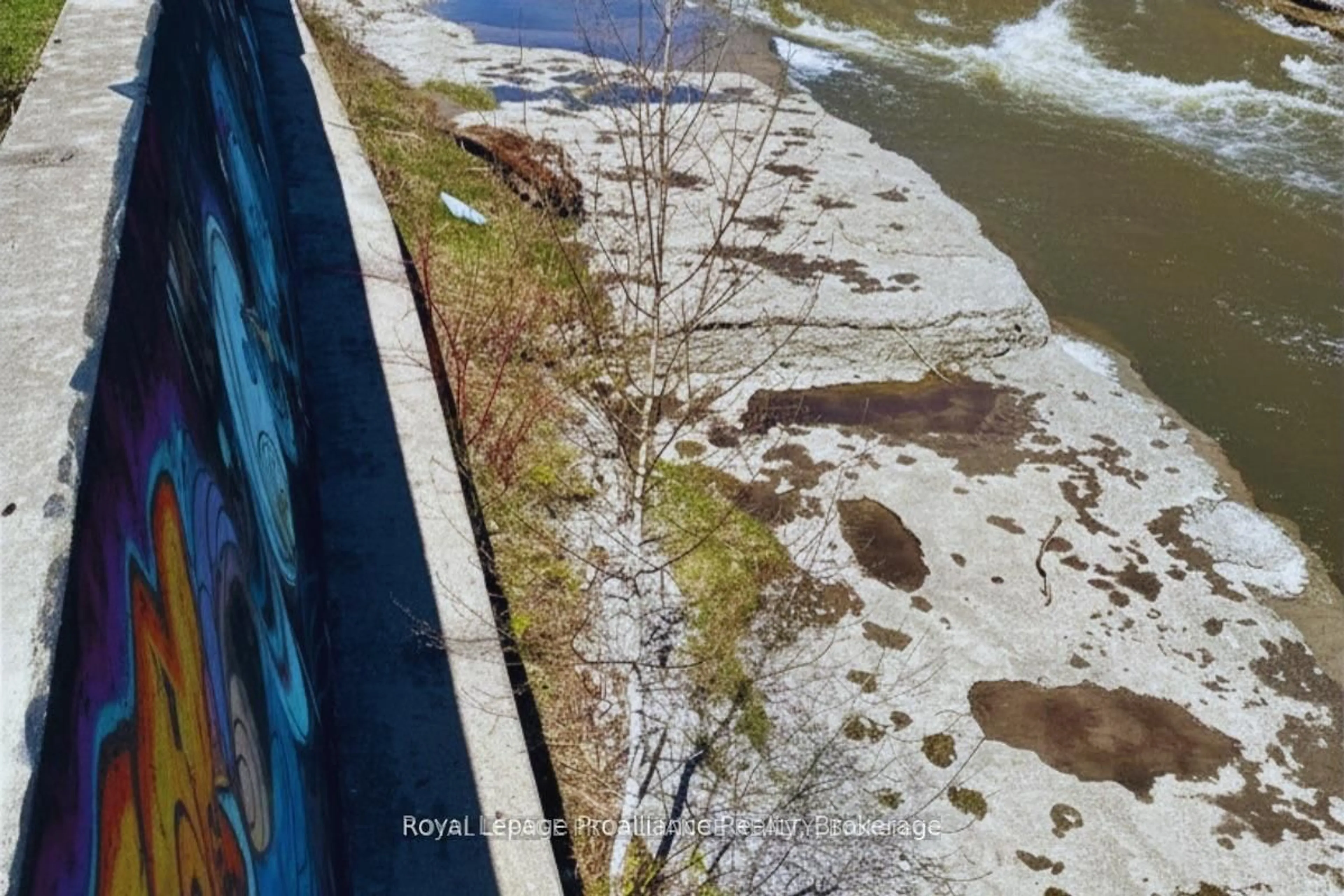 A pic from outside/outdoor area/front of a property/back of a property/a pic from drone, water/lake/river/ocean view for 96 Cavan St, Port Hope Ontario L1A 3B7