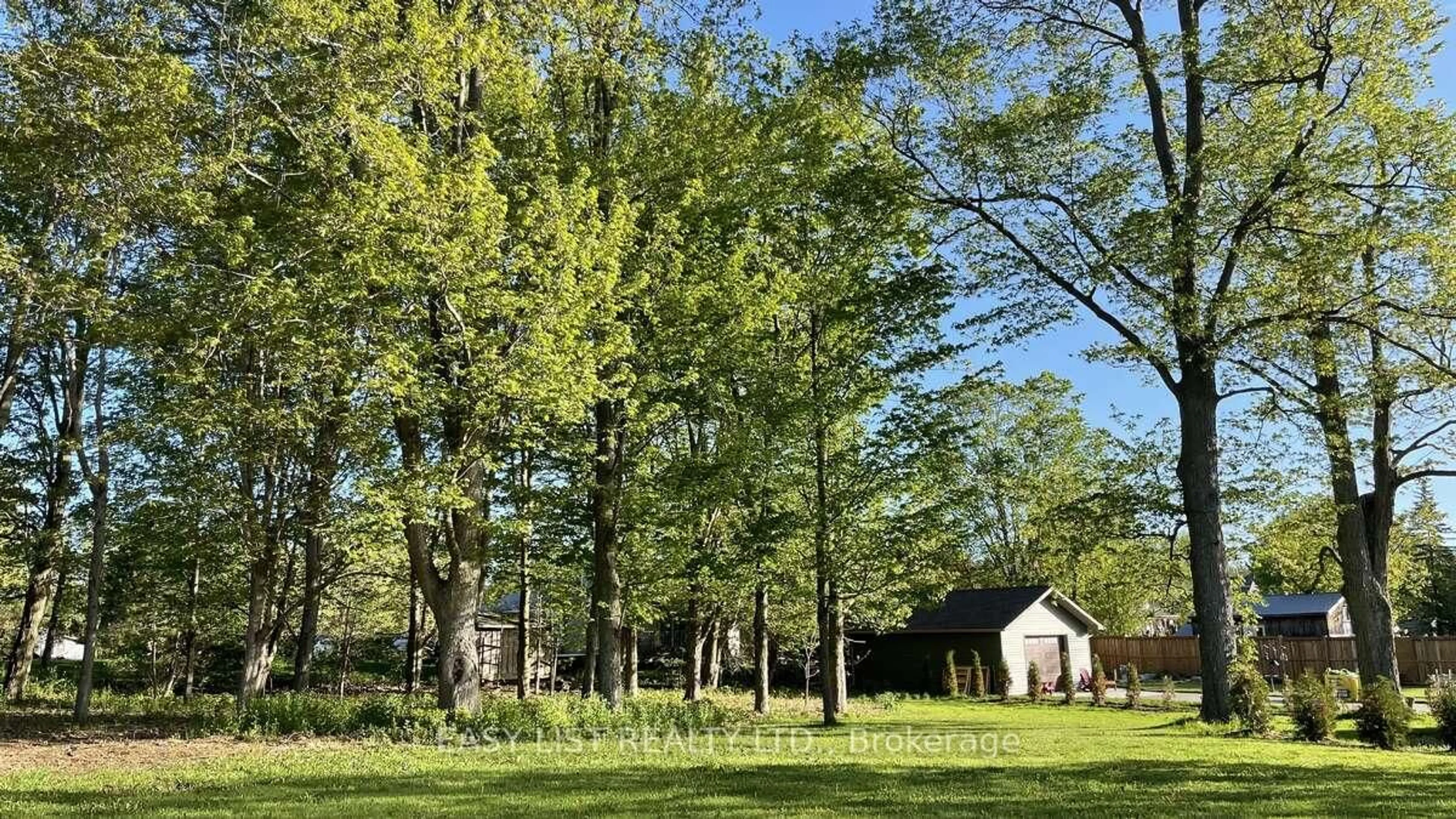 A pic from outside/outdoor area/front of a property/back of a property/a pic from drone, forest/trees view for 28 Peel St, Mapleton Ontario N0B 1A0