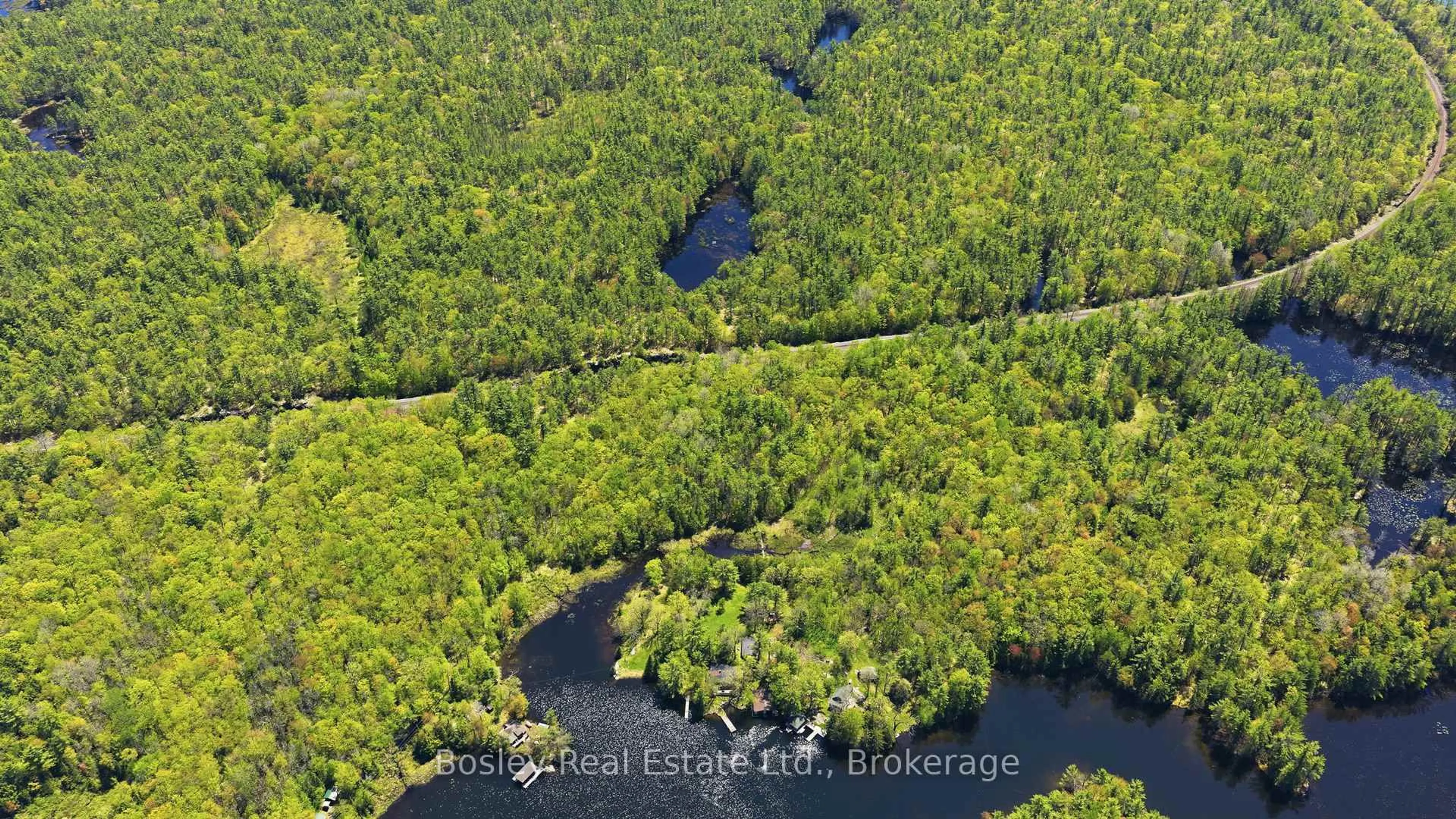 A pic from outside/outdoor area/front of a property/back of a property/a pic from drone, forest/trees view for 7 SR405 Shore, Muskoka Lakes Ontario P0C 1M0