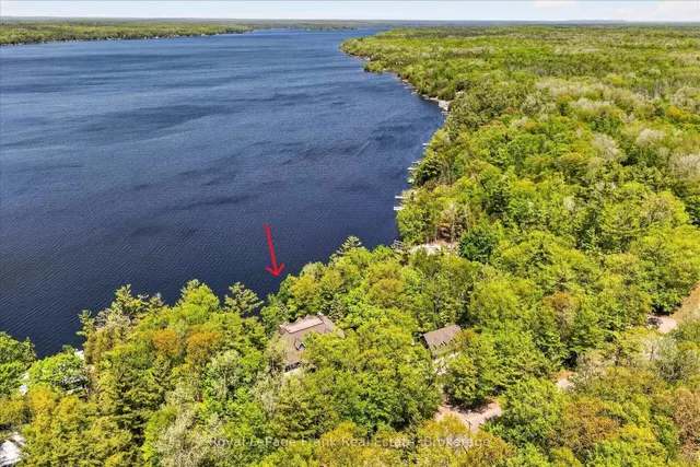 674 Birchview Rd, Douro-Dummer 2