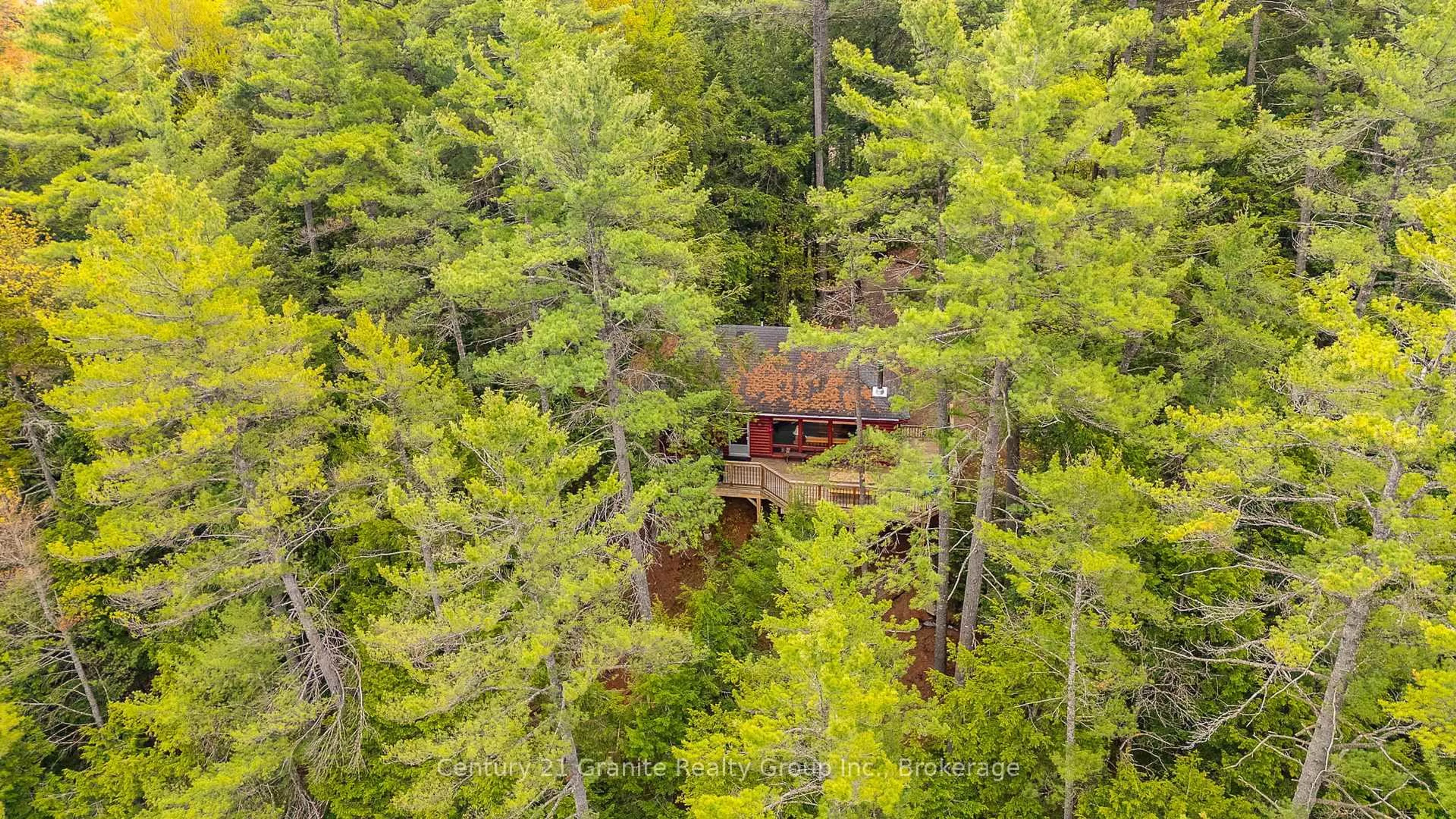 A pic from outside/outdoor area/front of a property/back of a property/a pic from drone, forest/trees view for 1153 Bitter Lake Rd, Dysart et al Ontario K0M 1S0