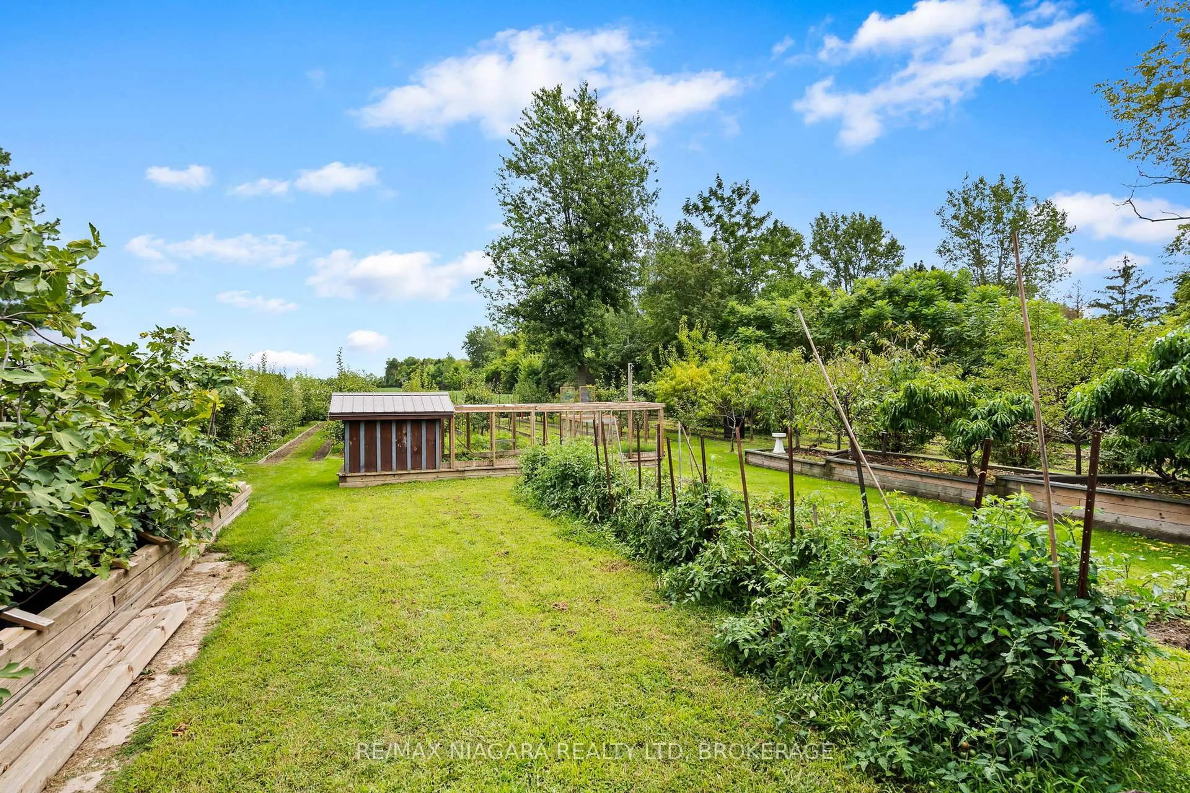 A pic from outside/outdoor area/front of a property/back of a property/a pic from drone, forest/trees view for 63023 Perry Rd, Wainfleet Ontario L0R 2J0