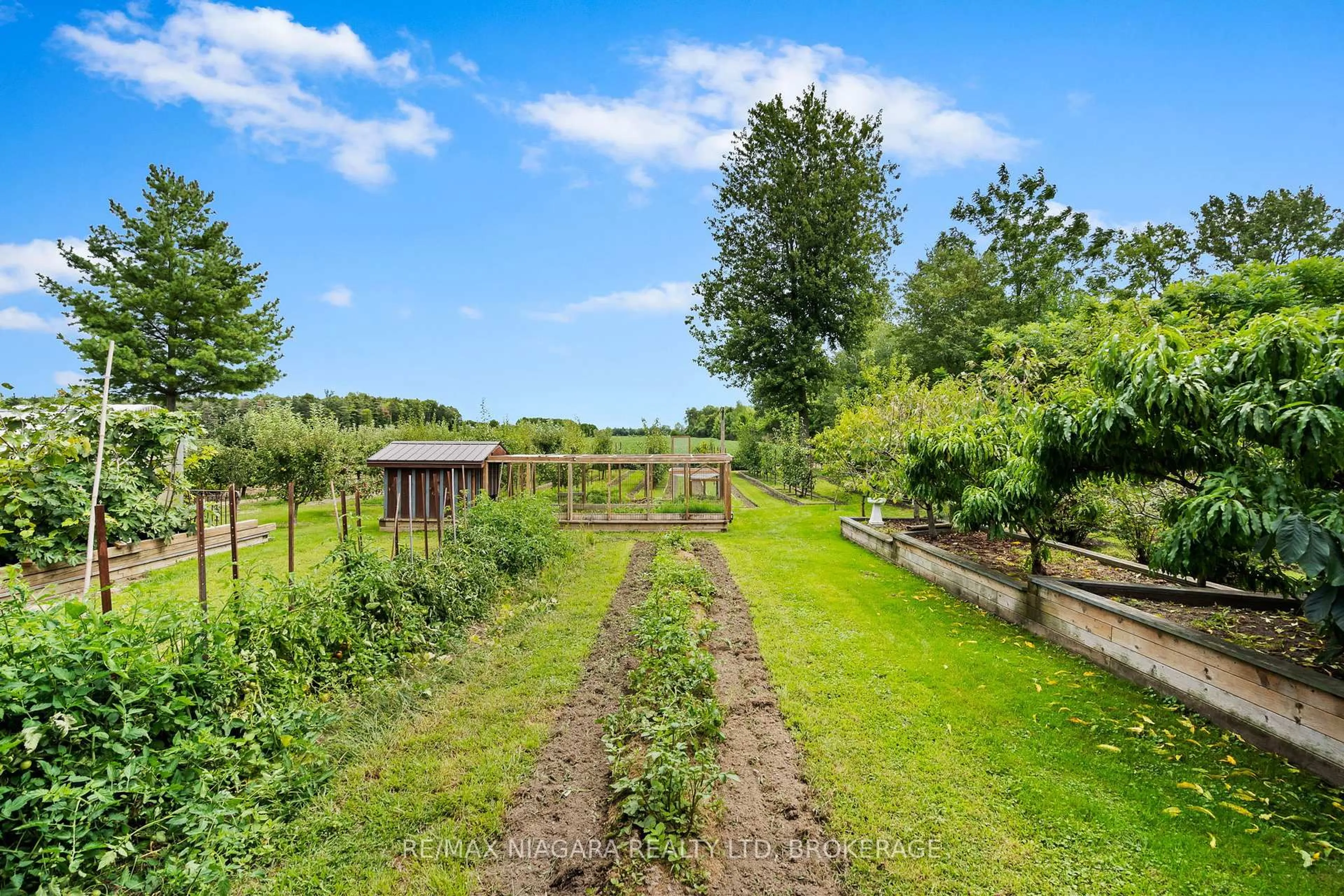 A pic from outside/outdoor area/front of a property/back of a property/a pic from drone, forest/trees view for 63023 Perry Rd, Wainfleet Ontario L0R 2J0