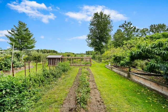 63023 Perry Rd, Wainfleet 5